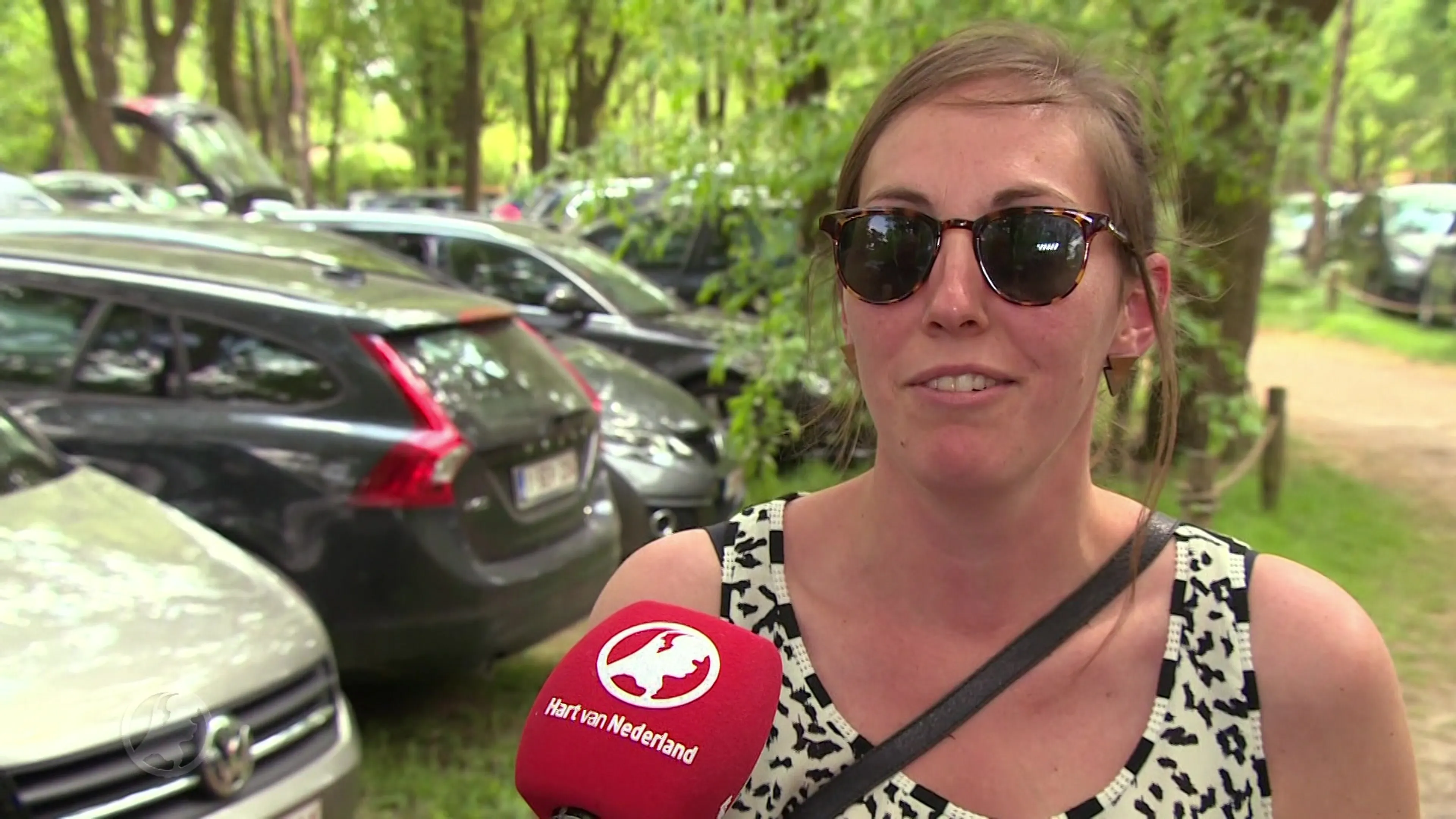 Geen extra maatregelen Beekse Bergen na 'wandeling' in cheetaverblijf