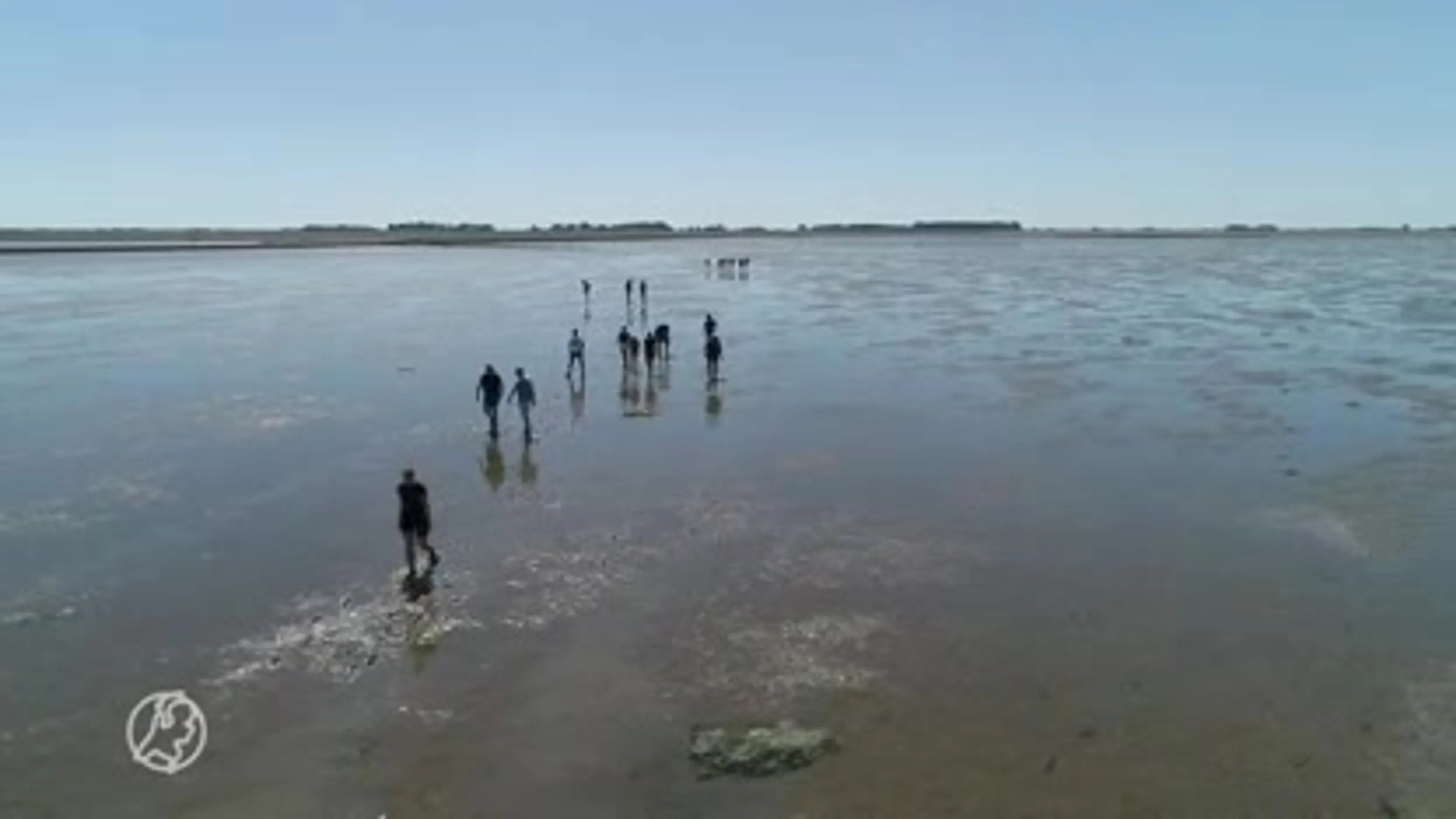 Wadlopen is booming in coronazomer