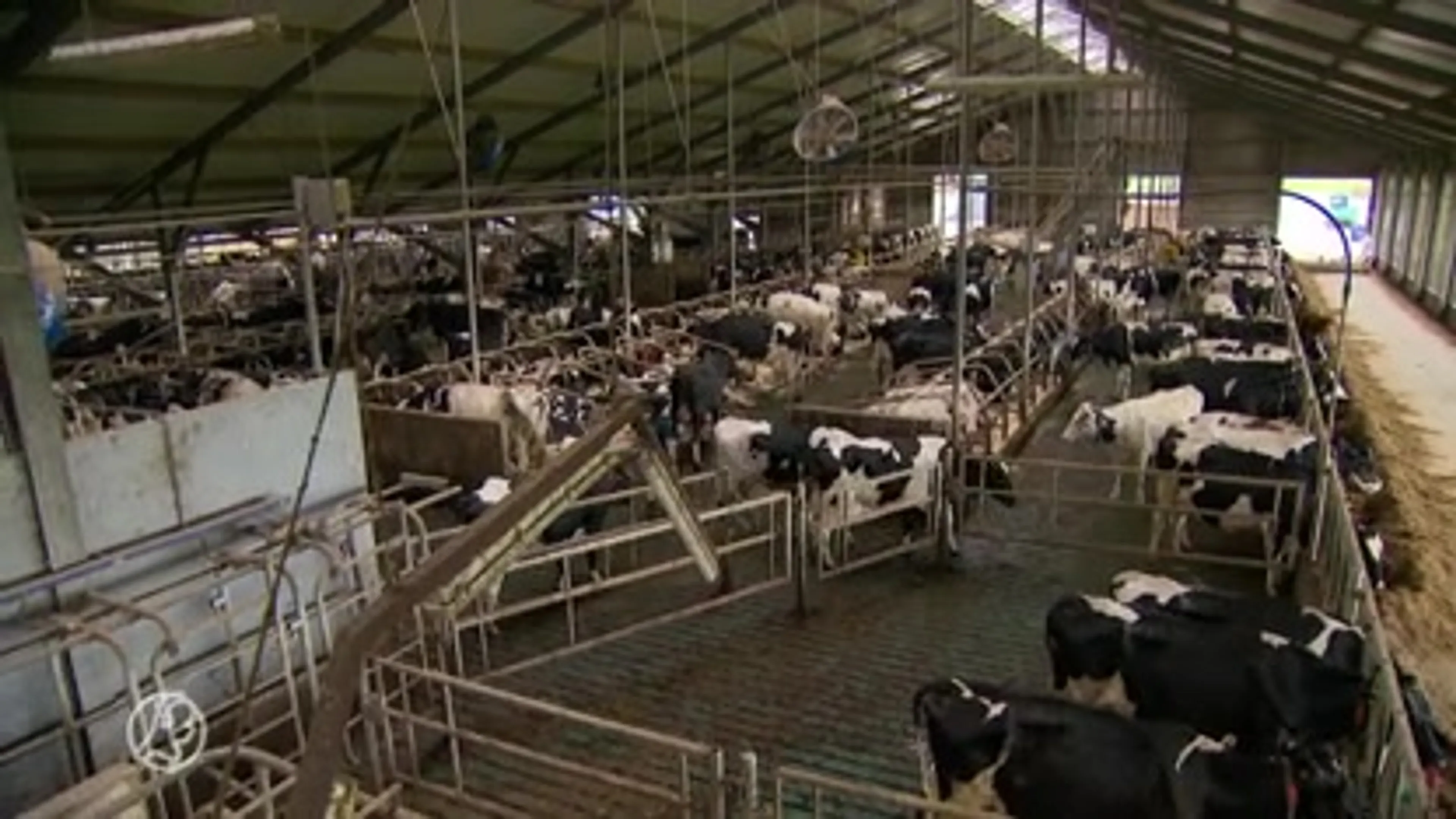 Waarom voert boer Roy Meijer actie?