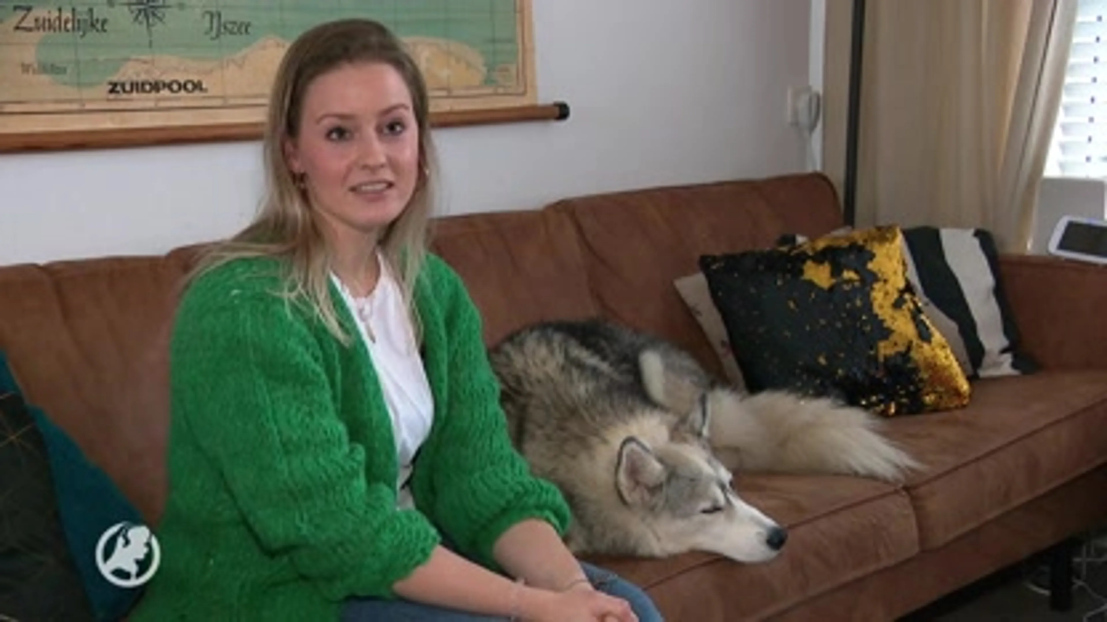 Hond Iza heeft als eerste hond in Europa een 3D-geprint schedeldak