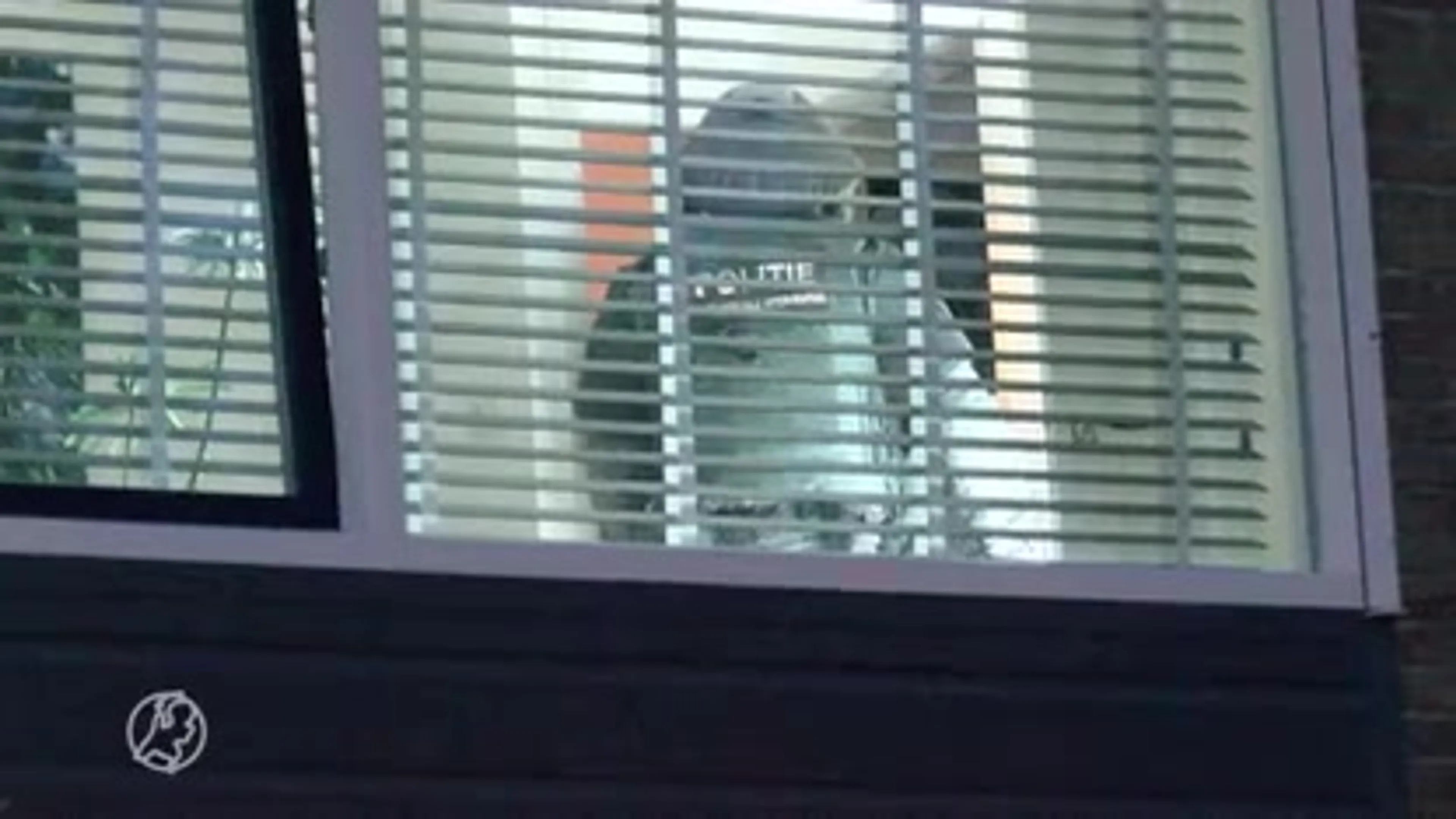 Negen arrestaties bij grootschalig onderzoek naar cocaïnehandel Vlissingen