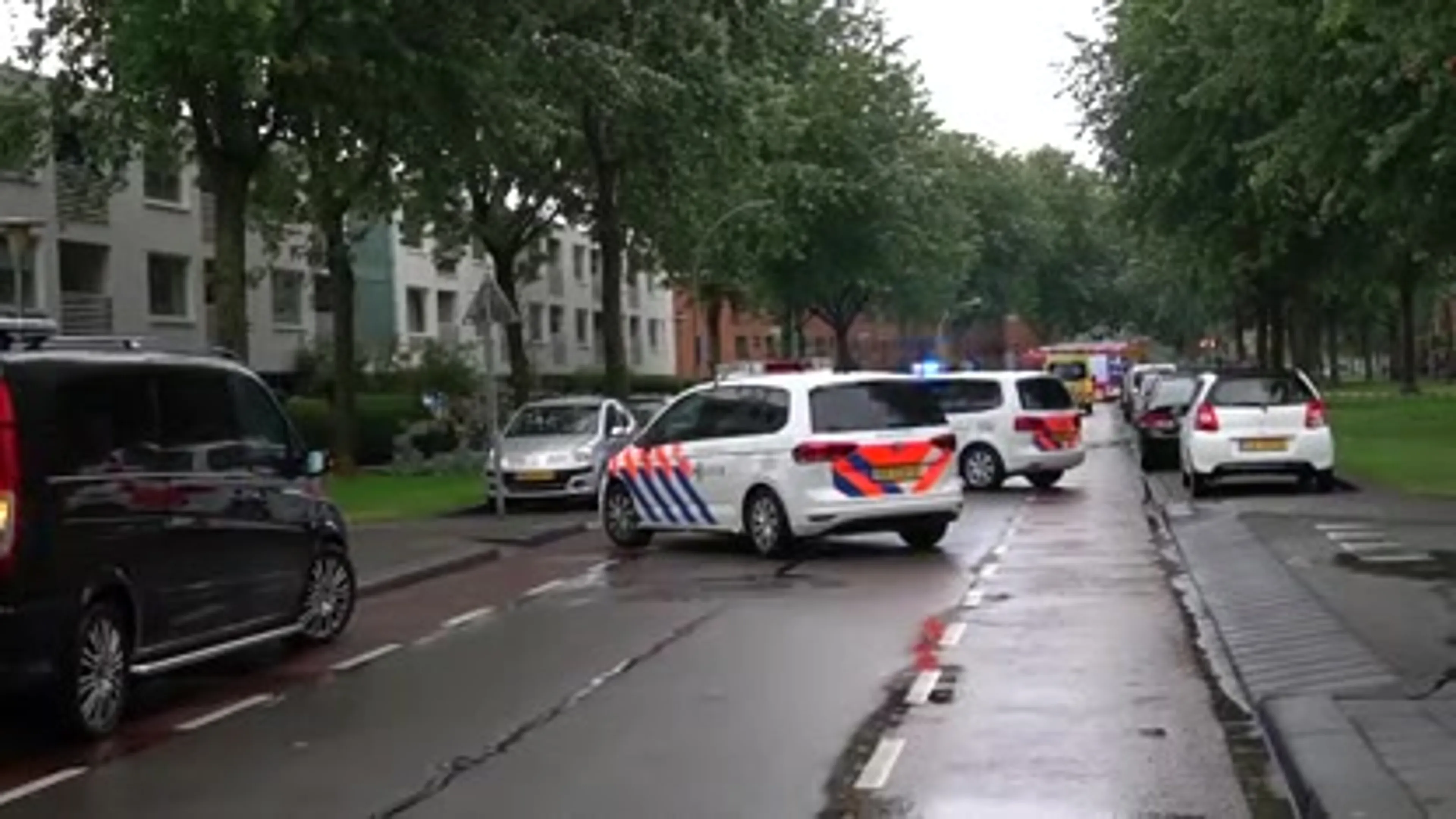 Noodweer raast over Nederland: vrouw uit Zwolle overleden door omgewaaide boos