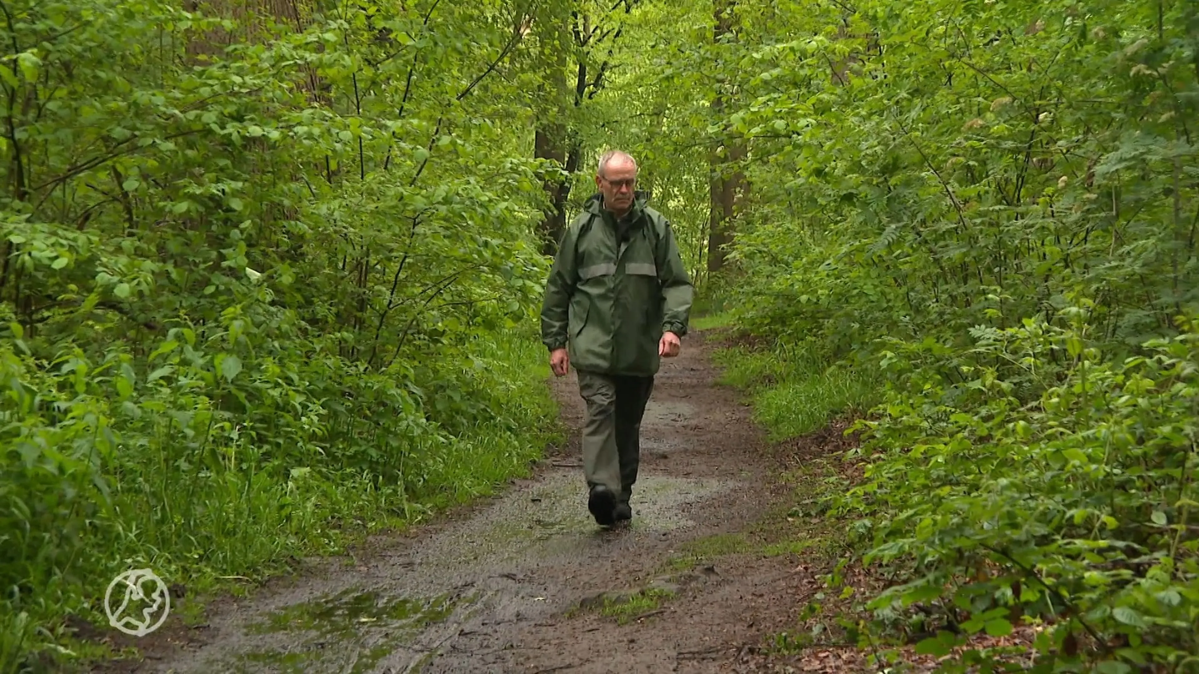 Nat voorjaar blijkt zegen voor de natuur