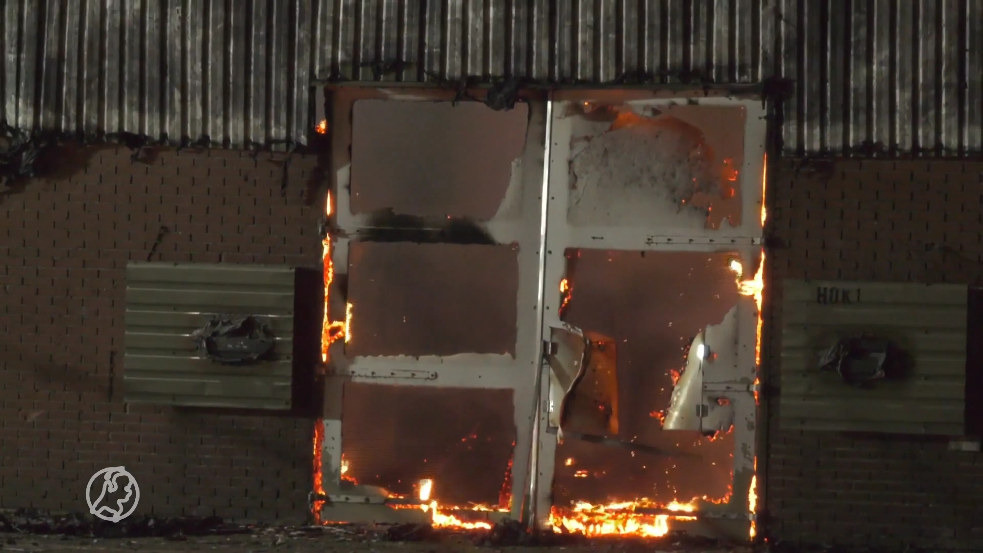 Meer dan 10.000 kippen omgekomen bij brand in Dronten