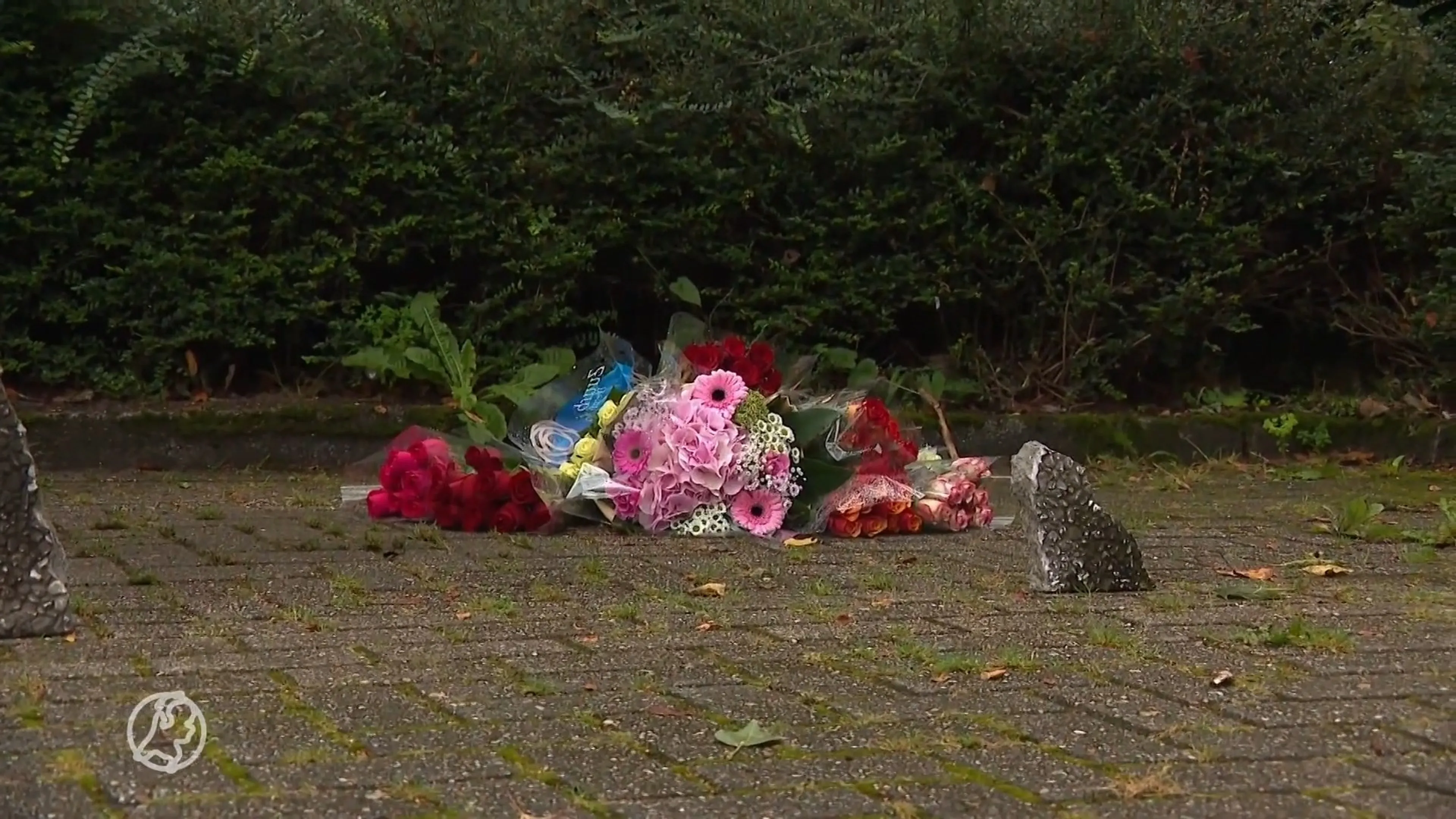 Verslagenheid in Rozenburg om tweede dodelijke slachtoffer van steekpartij in jaar tijd