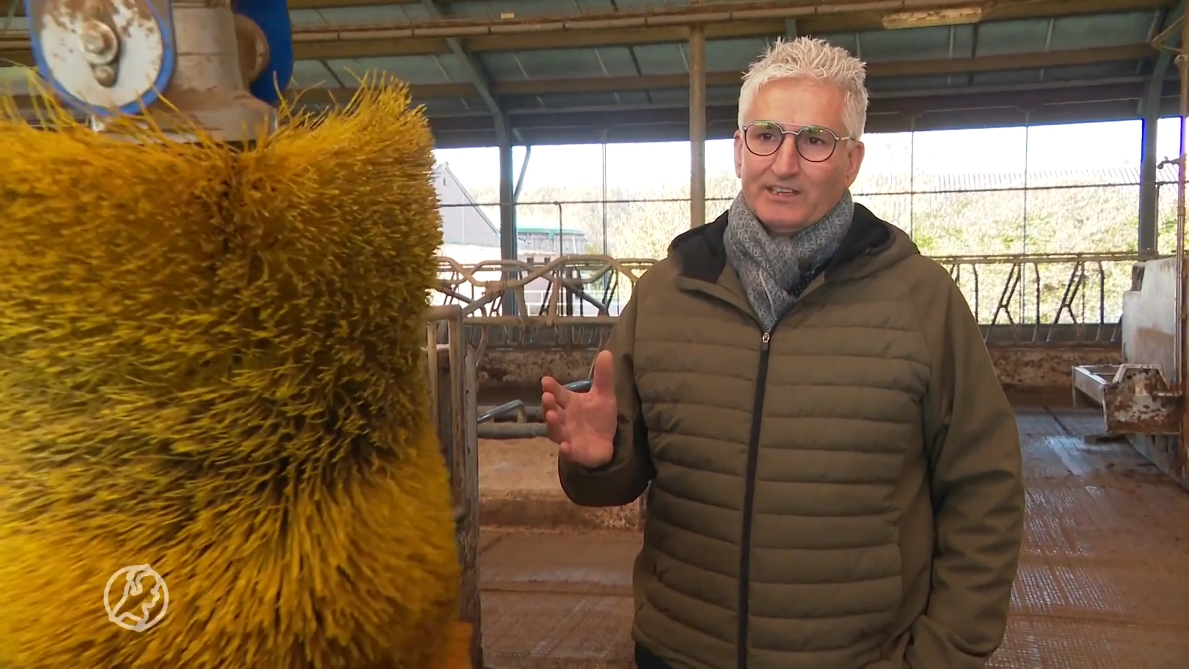 Blije boeren na uitkoopregeling: "Maar afscheid nemen van de koeien was echt moeilijk"