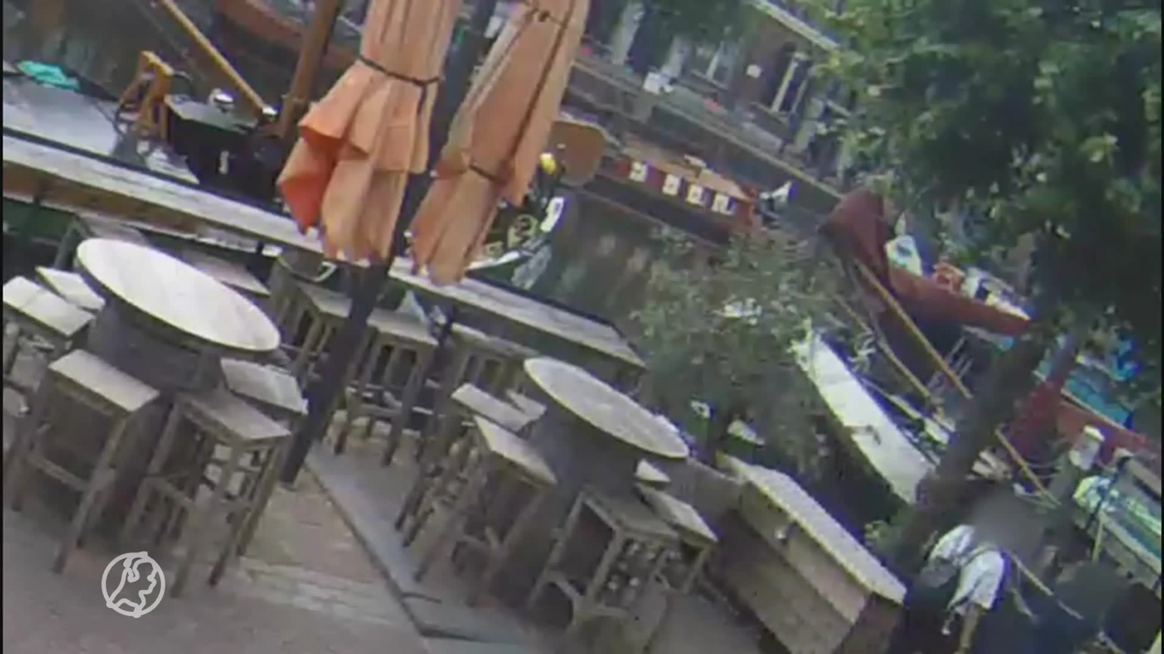 Kat Lex meegenomen in Rotterdam