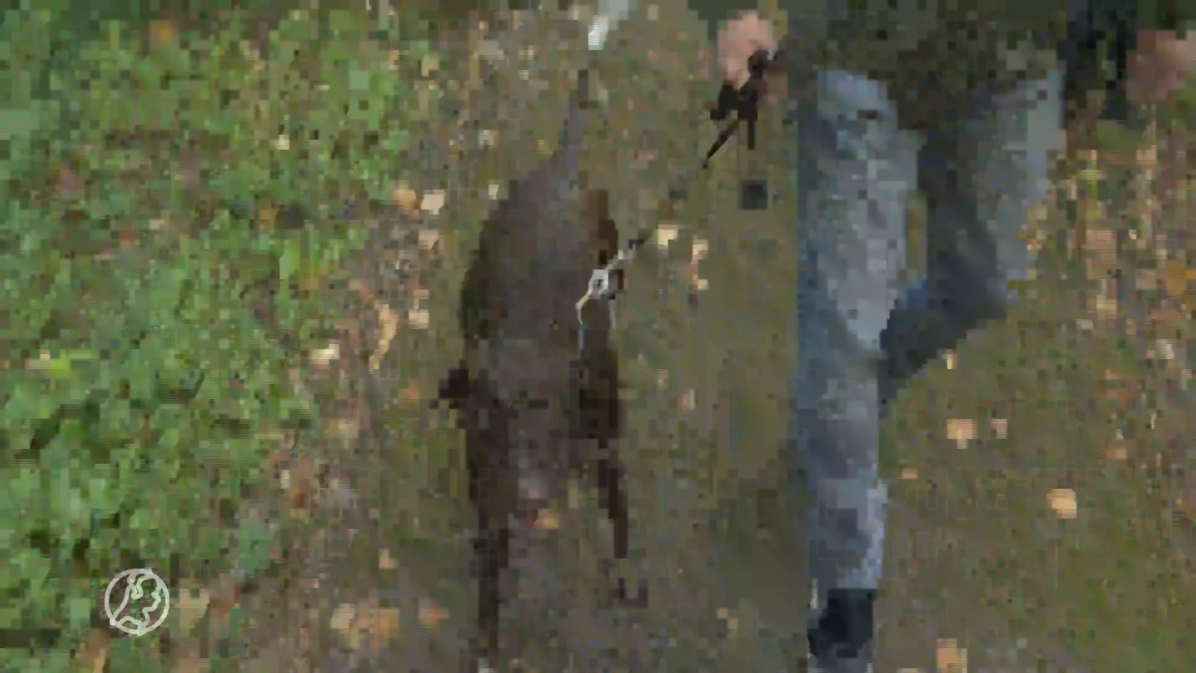 Honden moeten aan de lijn
