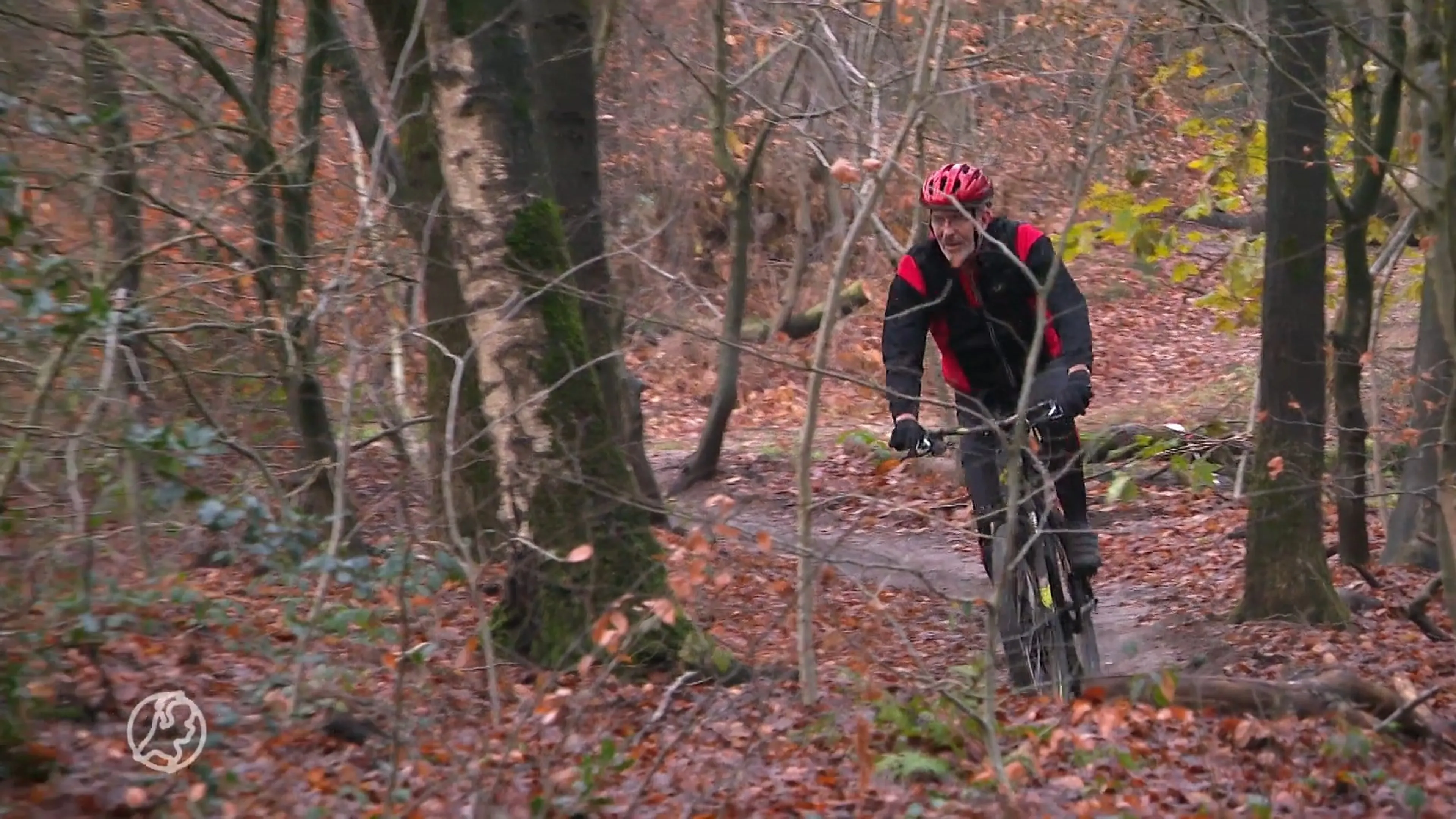 Bijzondere kever doet mountainbikeroute in Rijk van Nijmegen ...