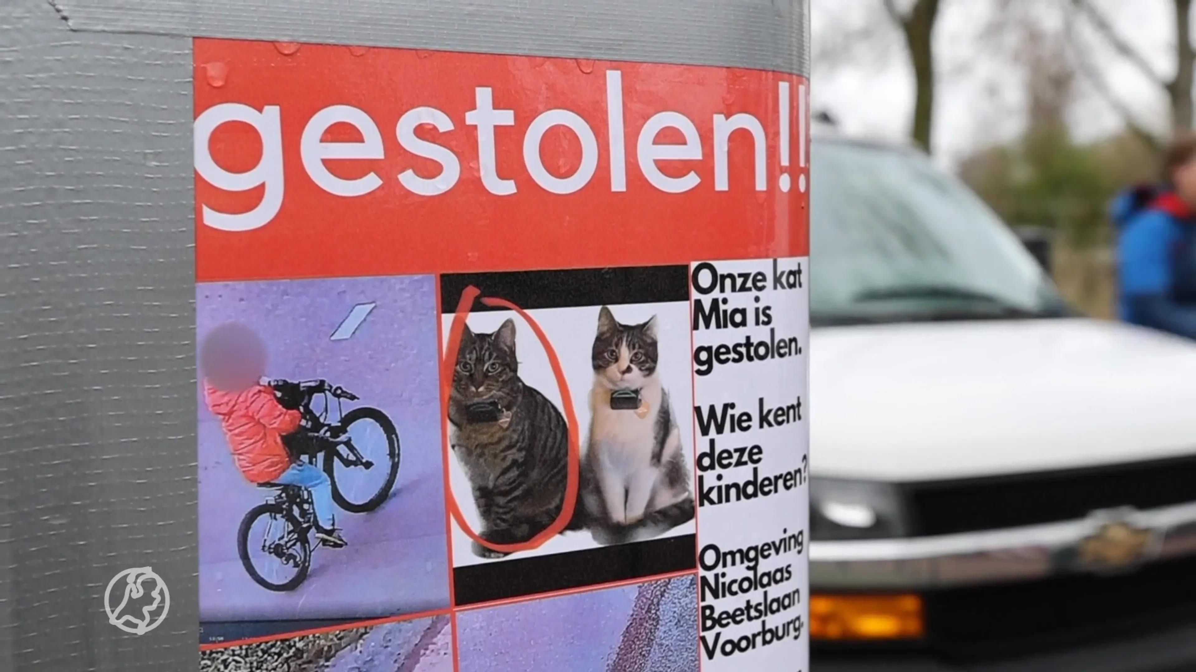 Kat Mia is terecht