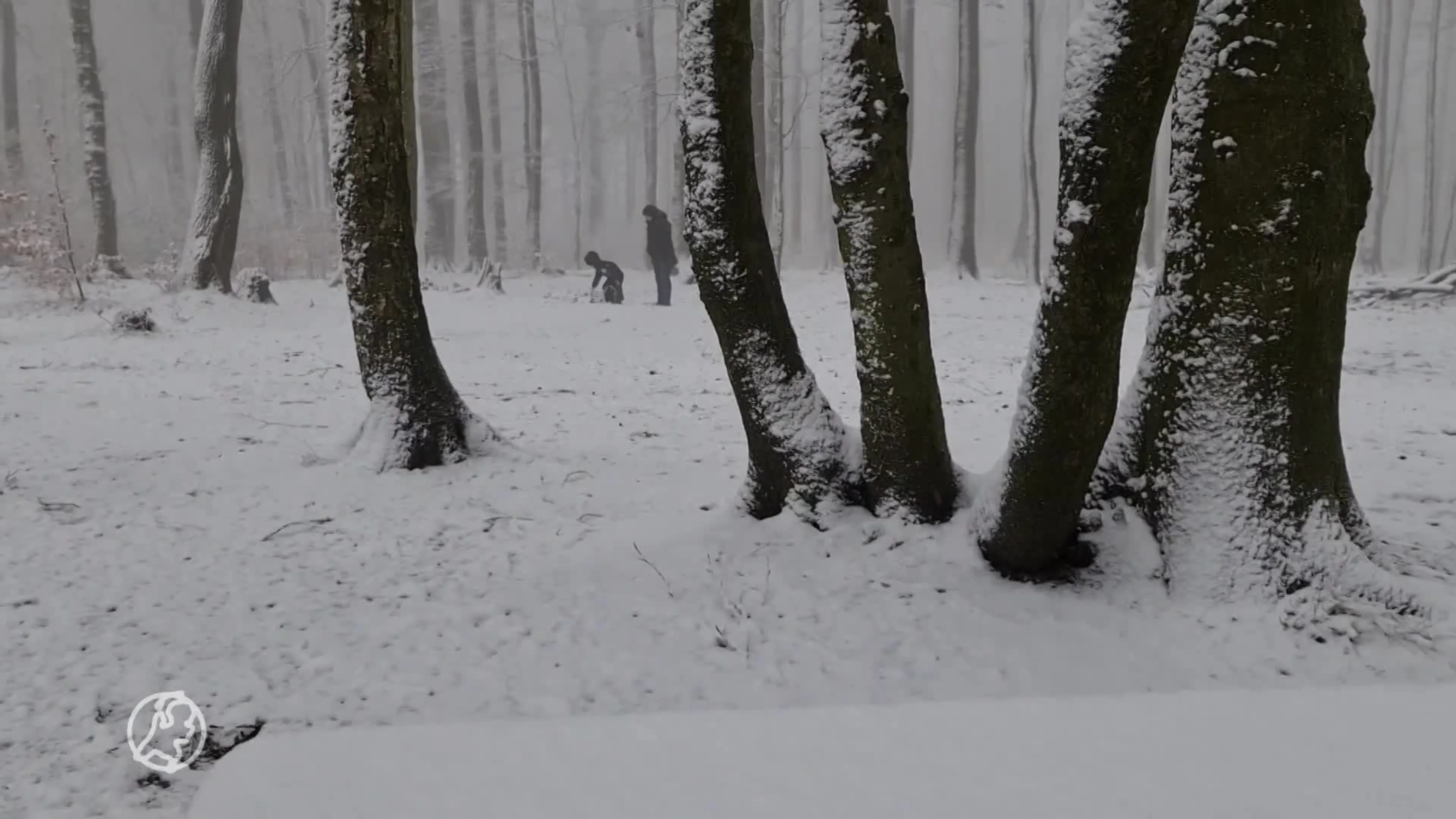 Sneeuw in Vaals