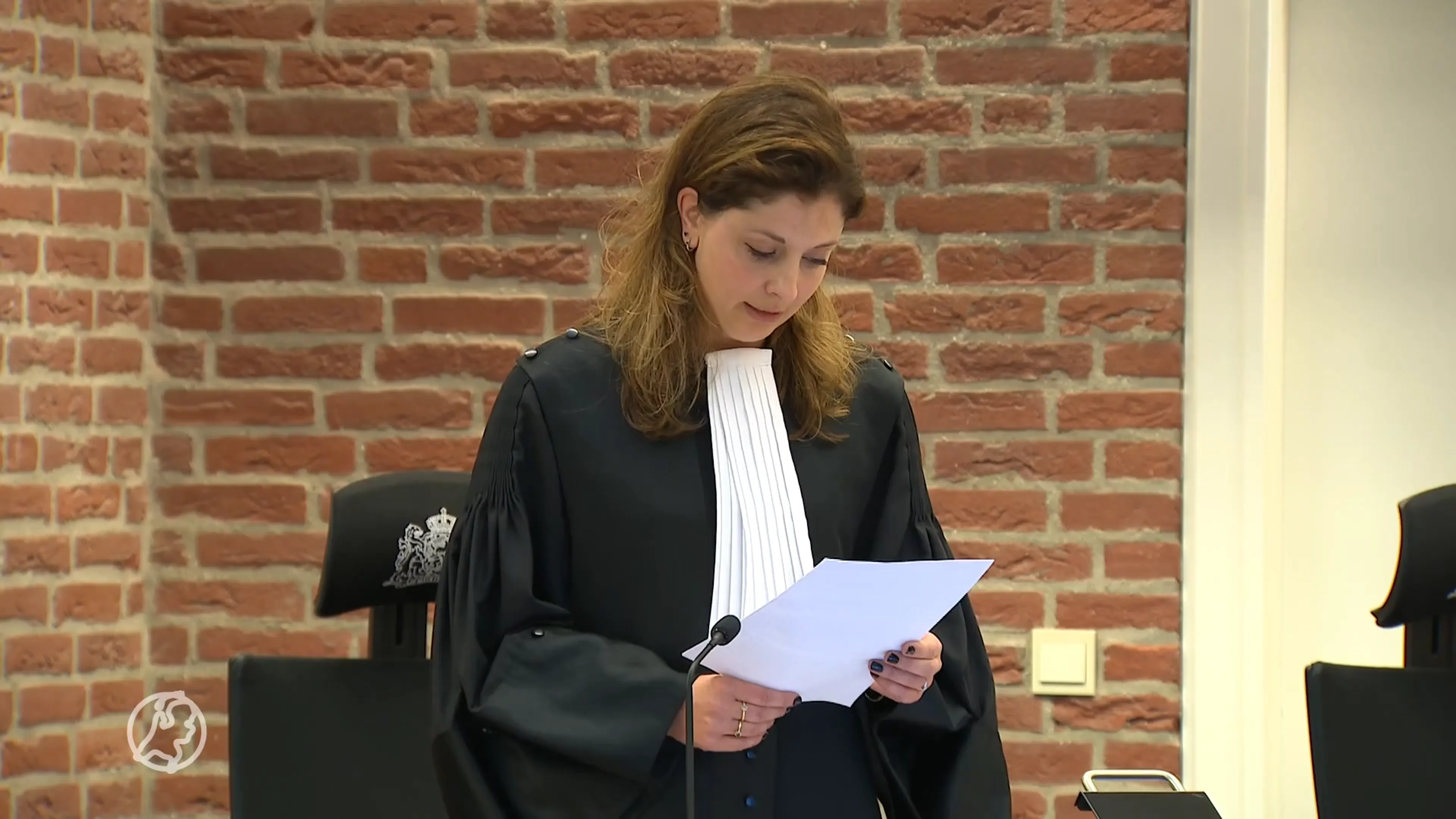 Aansteker-gooier staat voor de rechter