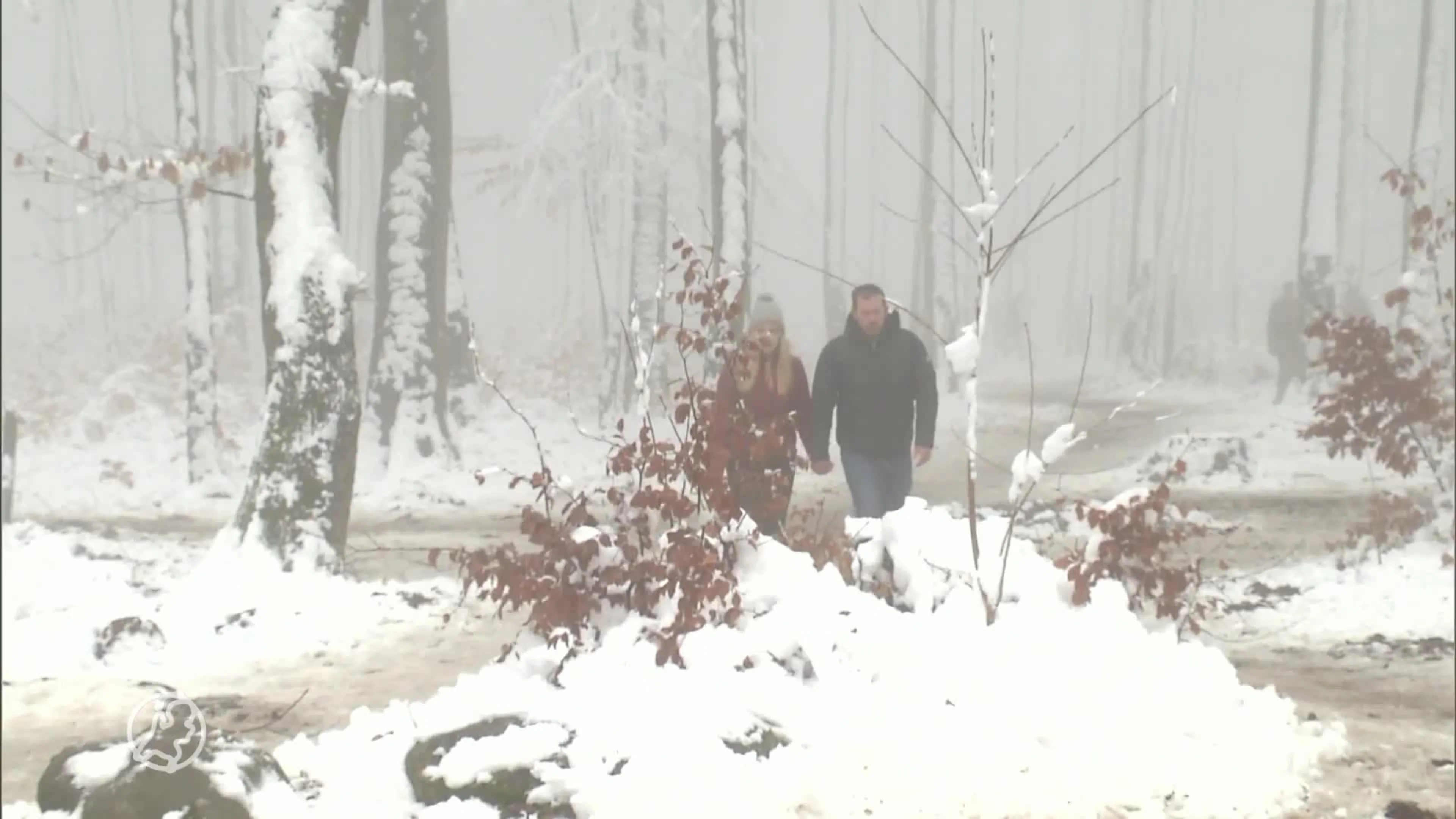 Sneeuw trekt hordes dagjesmensen naar Vaals, boa's schrijven ...