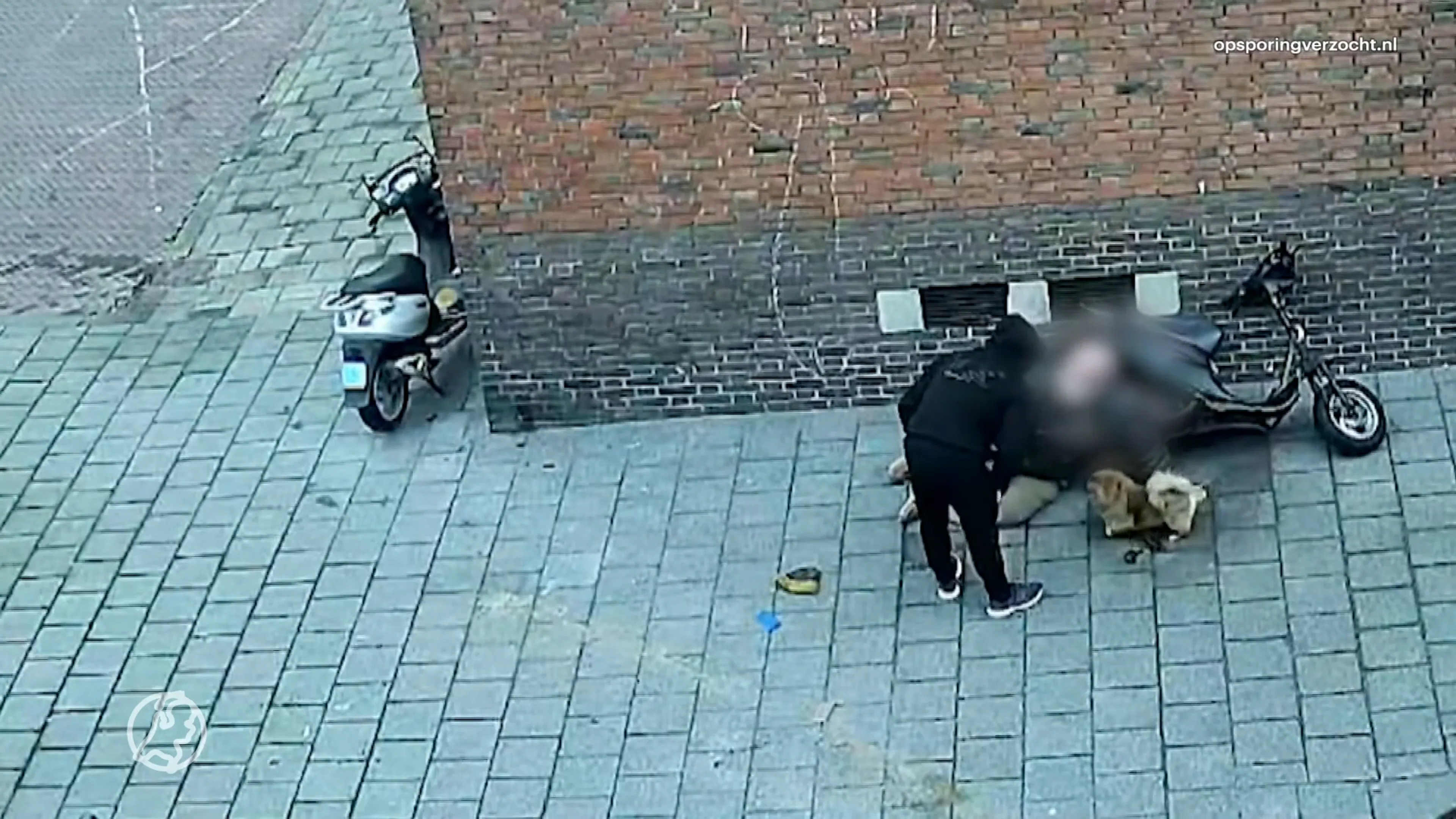 Vreselijke beelden: 79-jarige man die hond uitlaat slachtoffer van brute straatroof