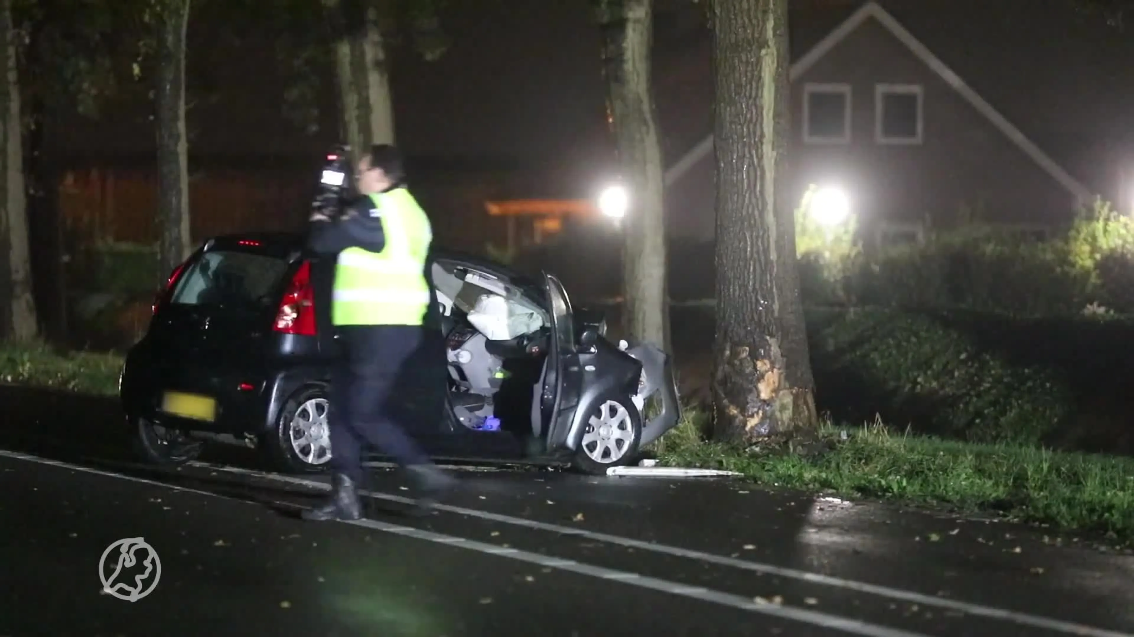 Vrouw (78) overleden na botsing met auto tegen boom