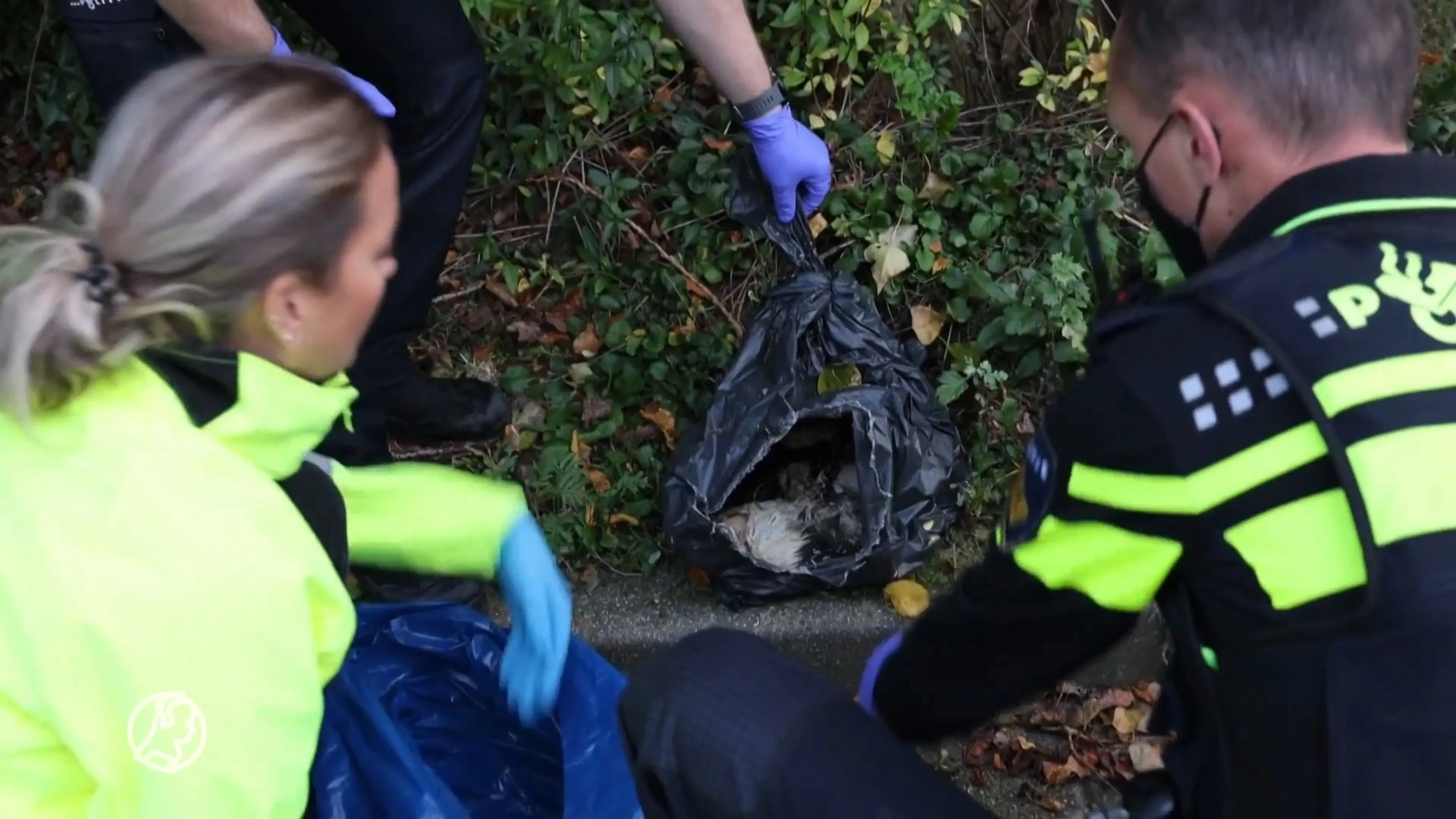 Zakken met verdronken kittens gevonden, vinders Yasha en Elise trillen van angst