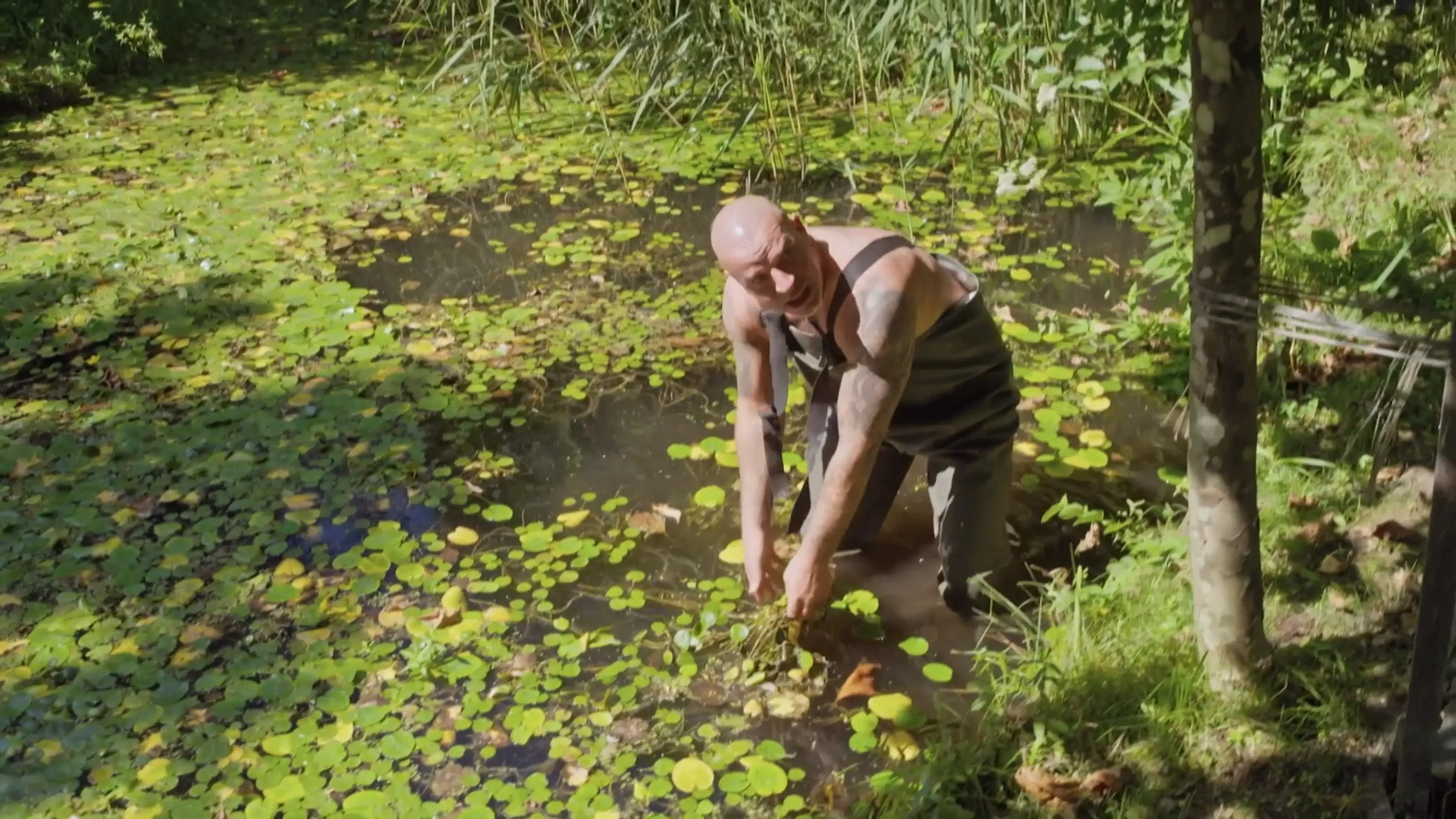 Andy en Melisa zijn aan de klus in de tuin en staan DOODSANGSTEN uit door SPINNEN
