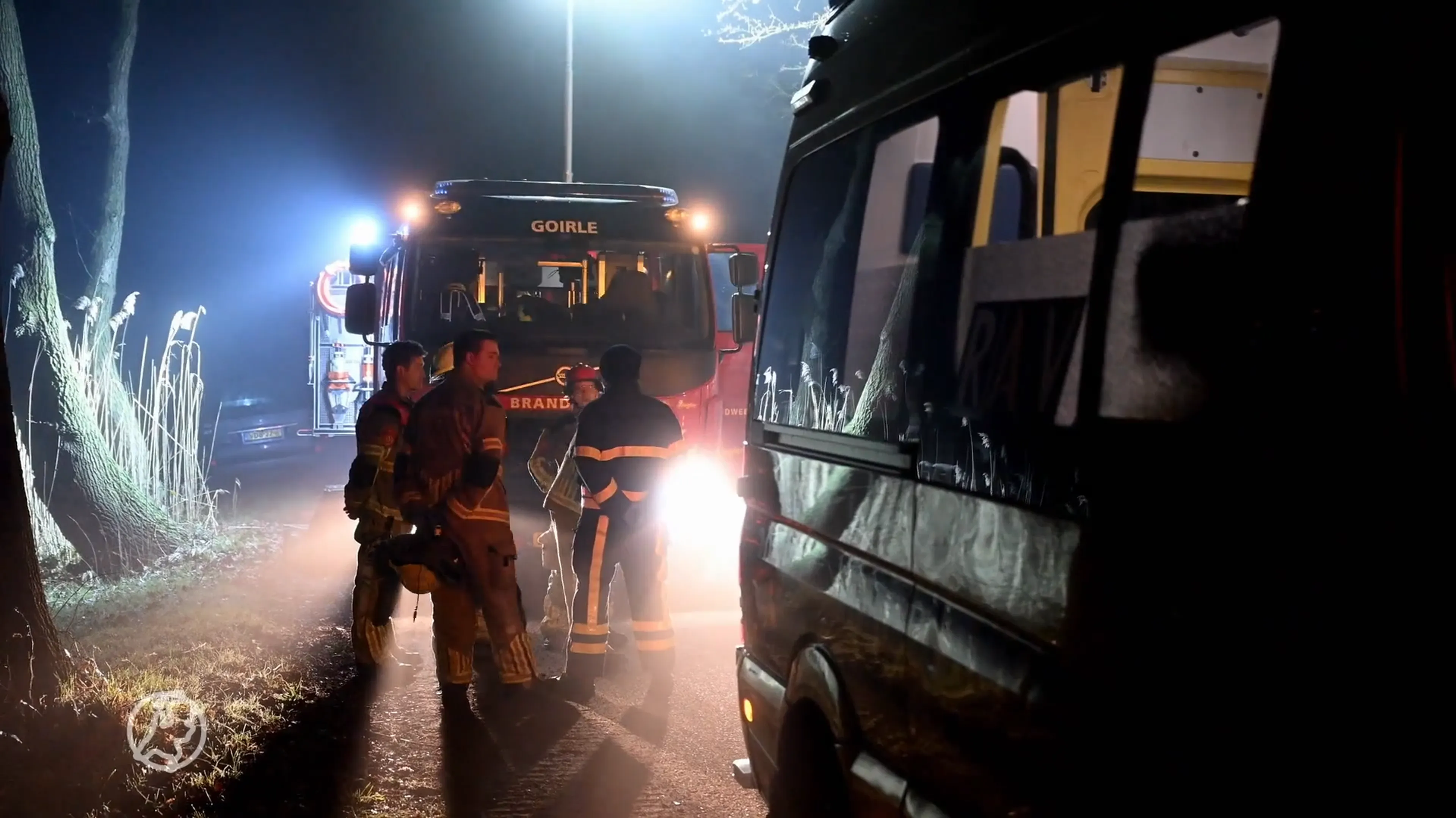 Dode gevonden in Tilburg, auto met honden in beslag genomen