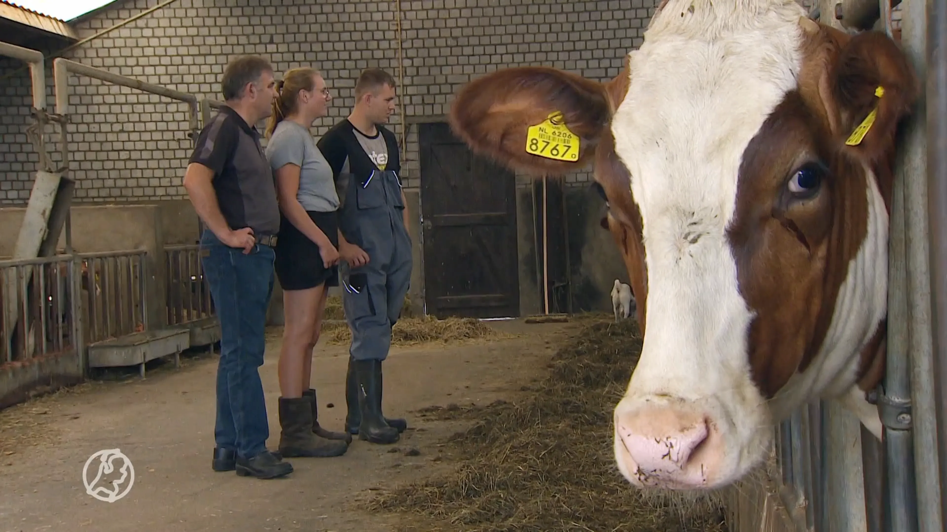 Boeren krijgen geen leningen, zonder geld kunnen ze niet aan strenge stikstofeisen voldoen