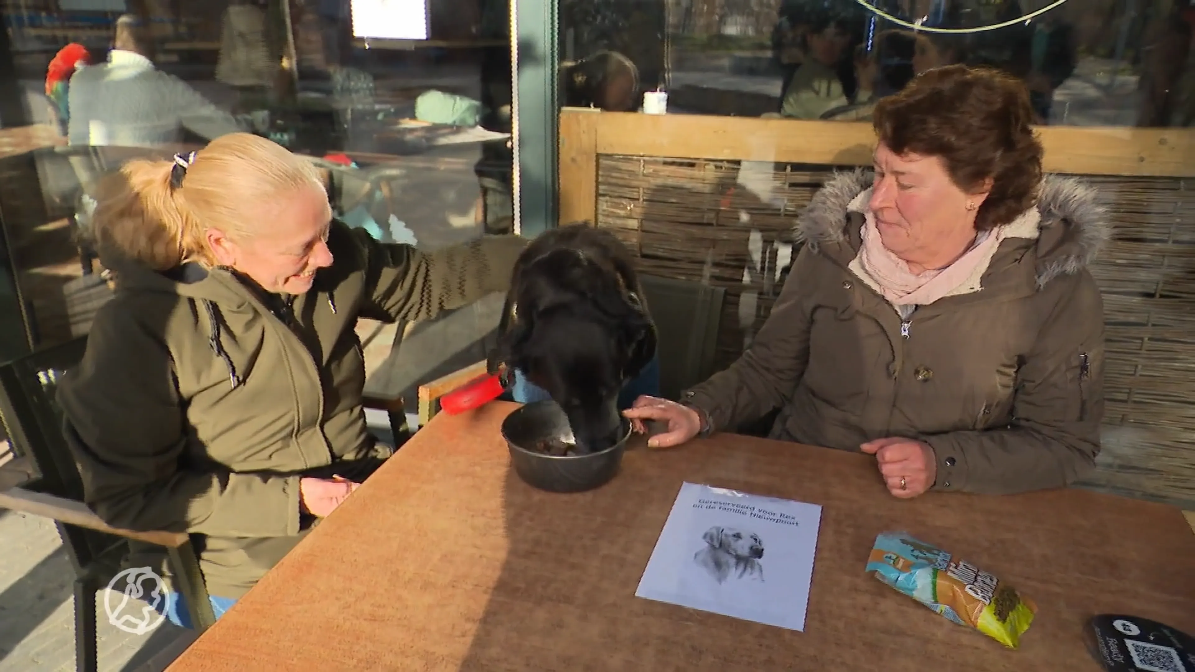 Steeds meer over voor huisdier: hondenbaasje organiseert 'afscheidsdiner' voor bejaarde hond Rex