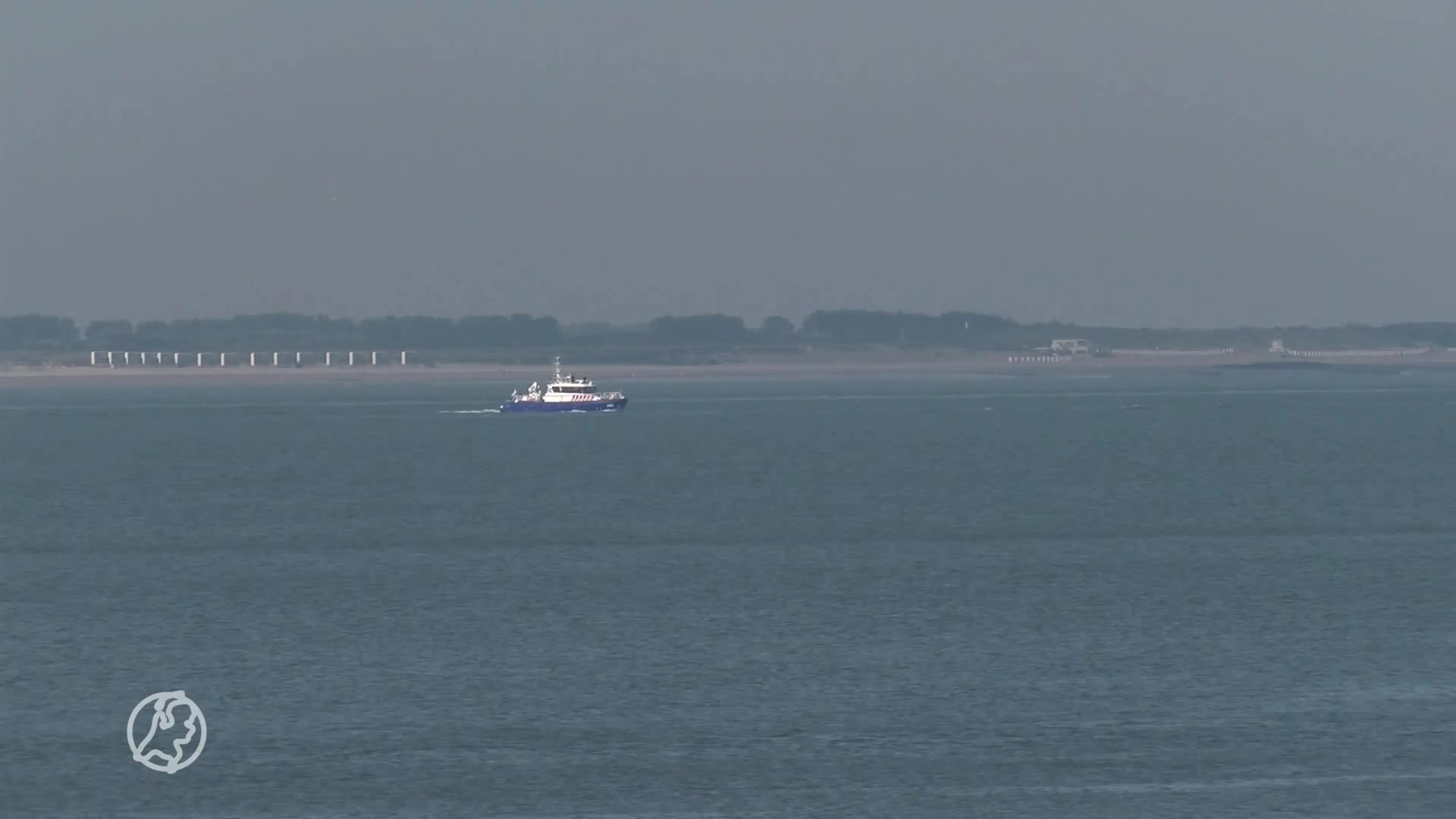 Lichaam van vermiste zwemmer (32) in Westerschelde gevonden