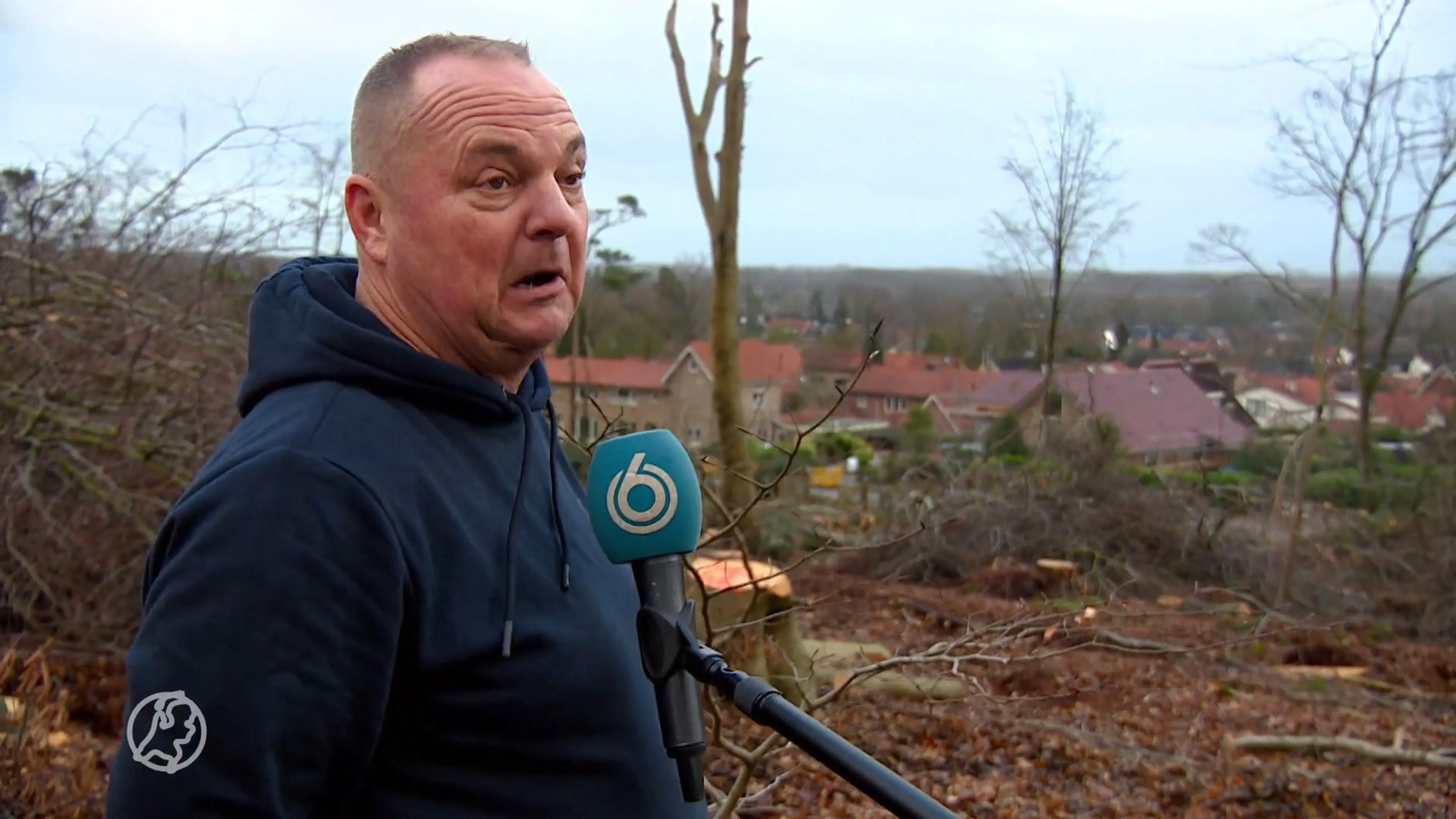 Bankjes ter herinnering aan de storm die Leersum voorgoed veranderde