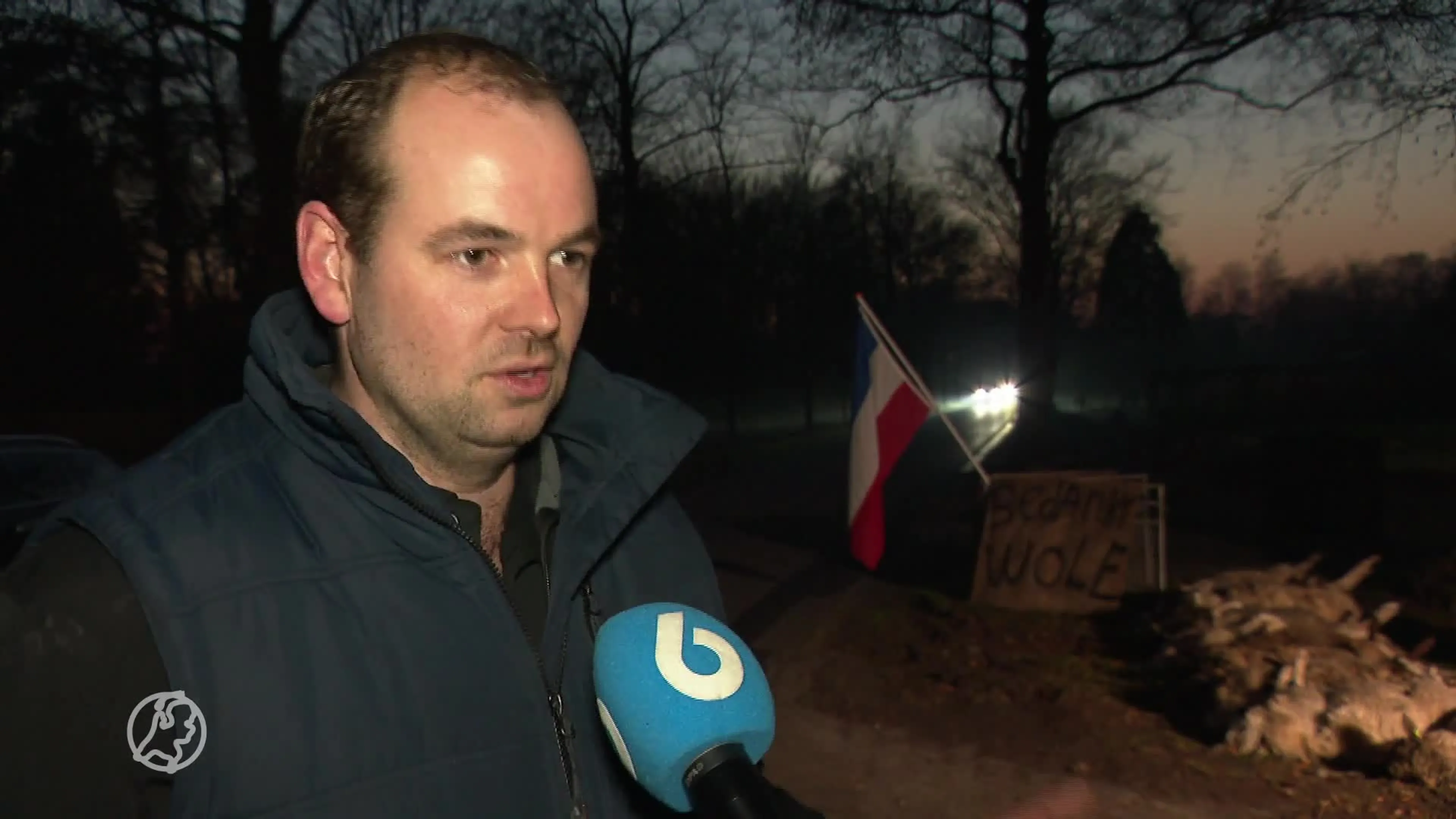 Provincies willen wolf gaan weren, maar voor deze schapenfokker komt het te laat