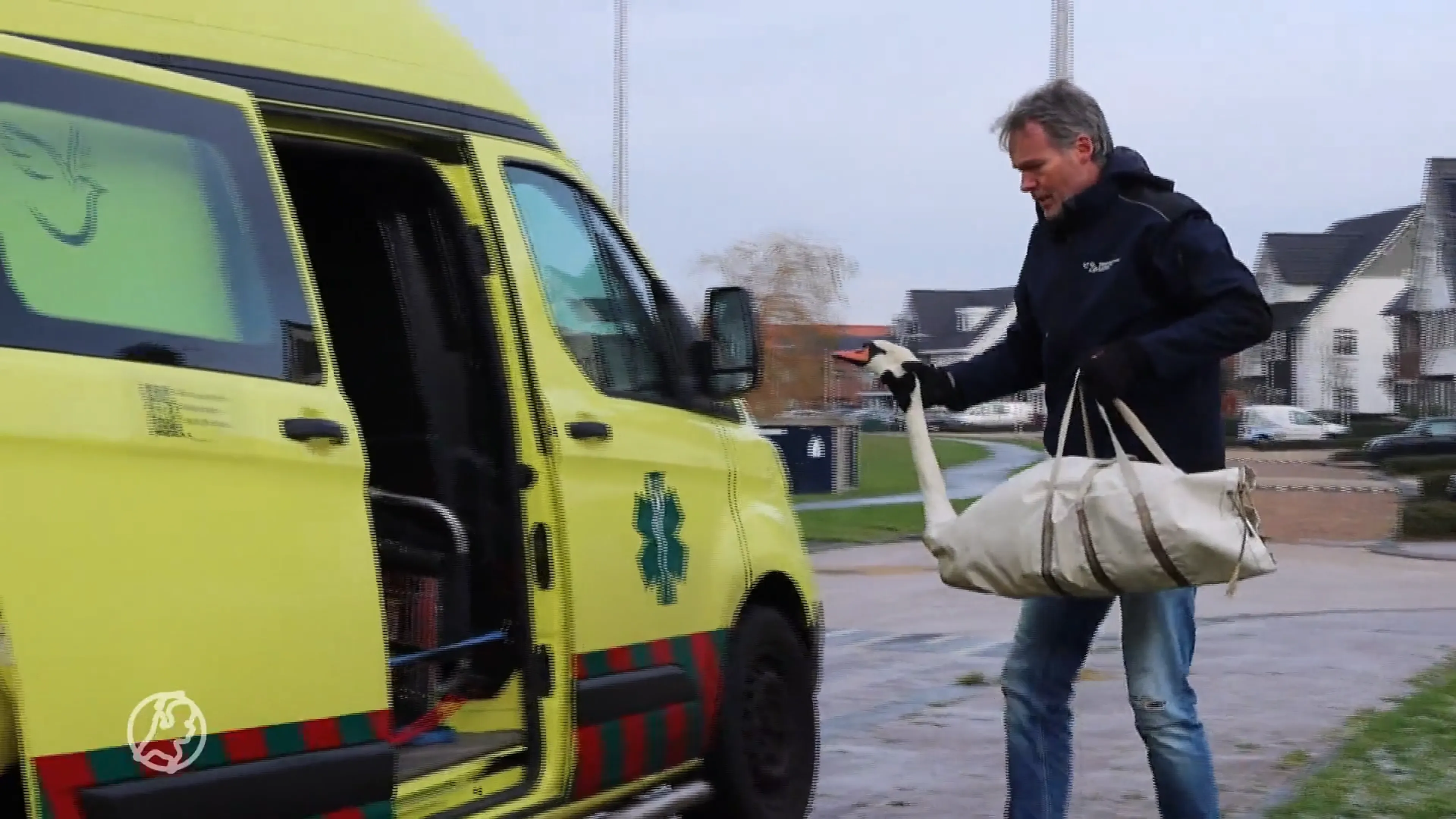 Twee uur durende reddingsactie voor gewonde zwaan op het ijs