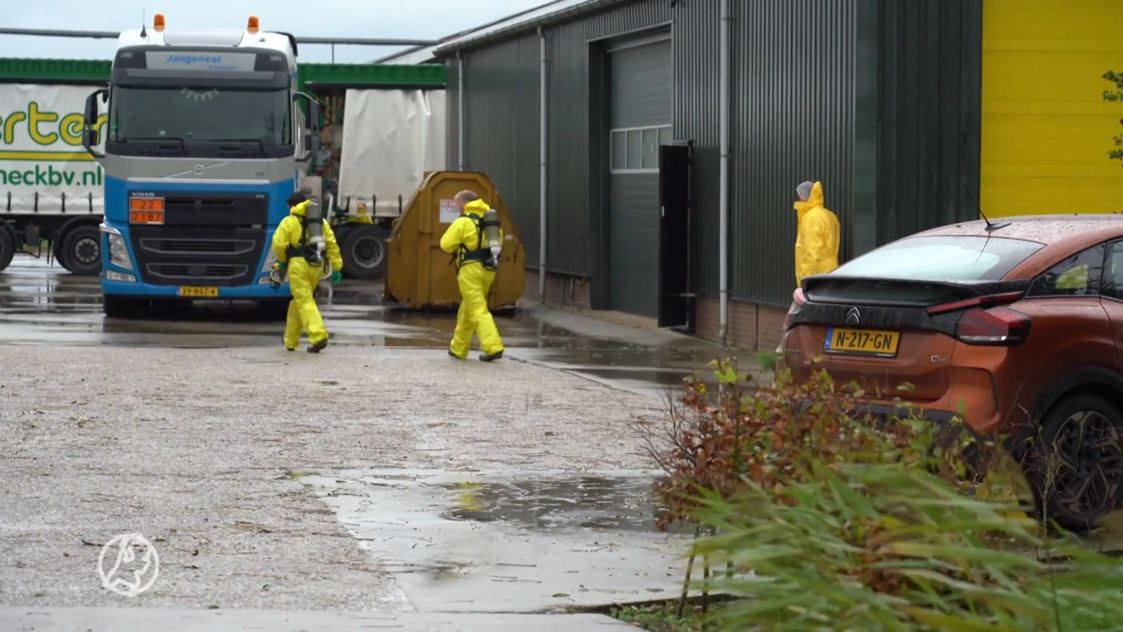 Meer dan 100.000 kippen geruimd na uitbraak vogelgriep in Grootschermer