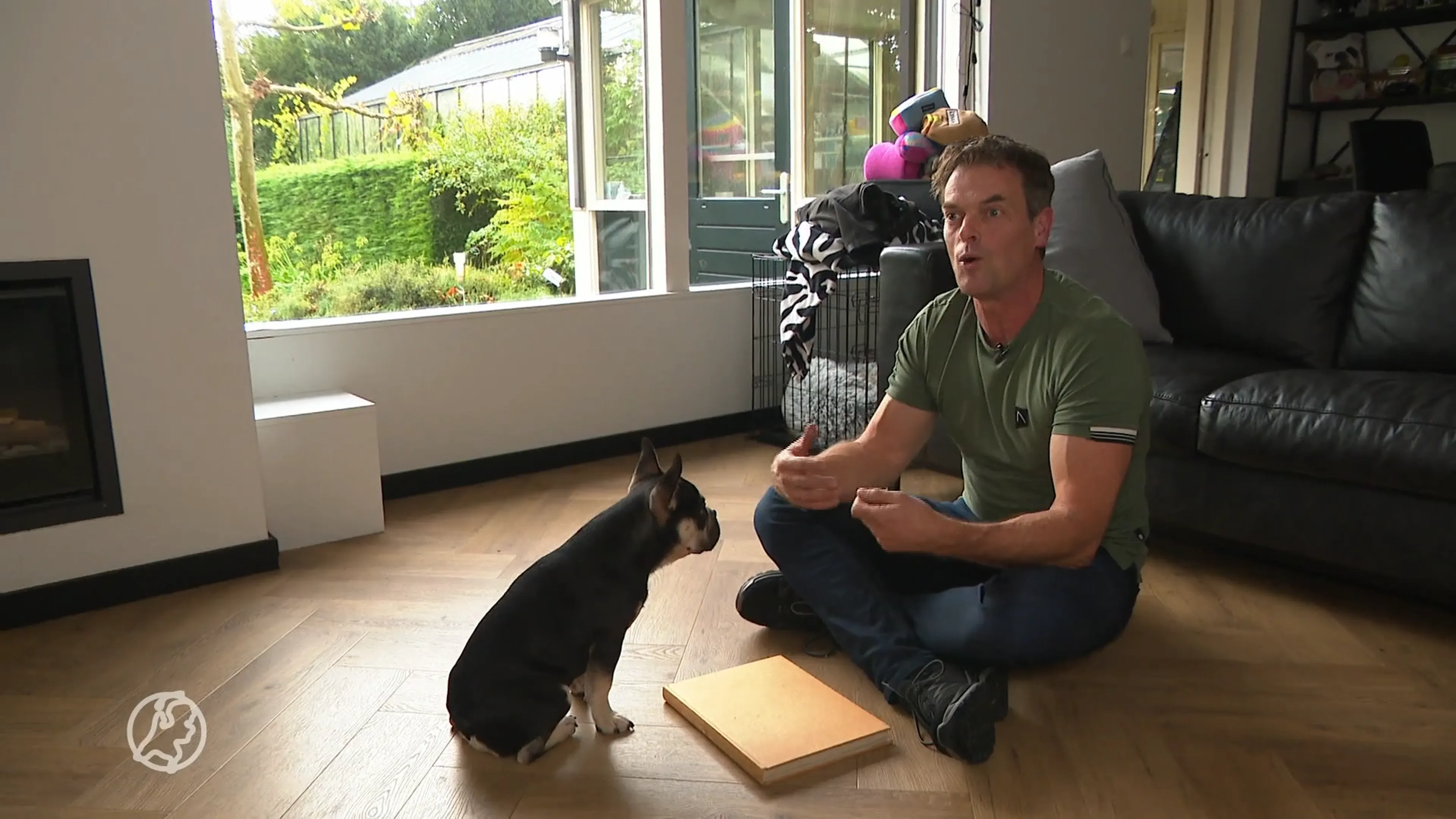 Je kunt je huisdier maar beter nu al voorbereiden op vuurwerkknallen