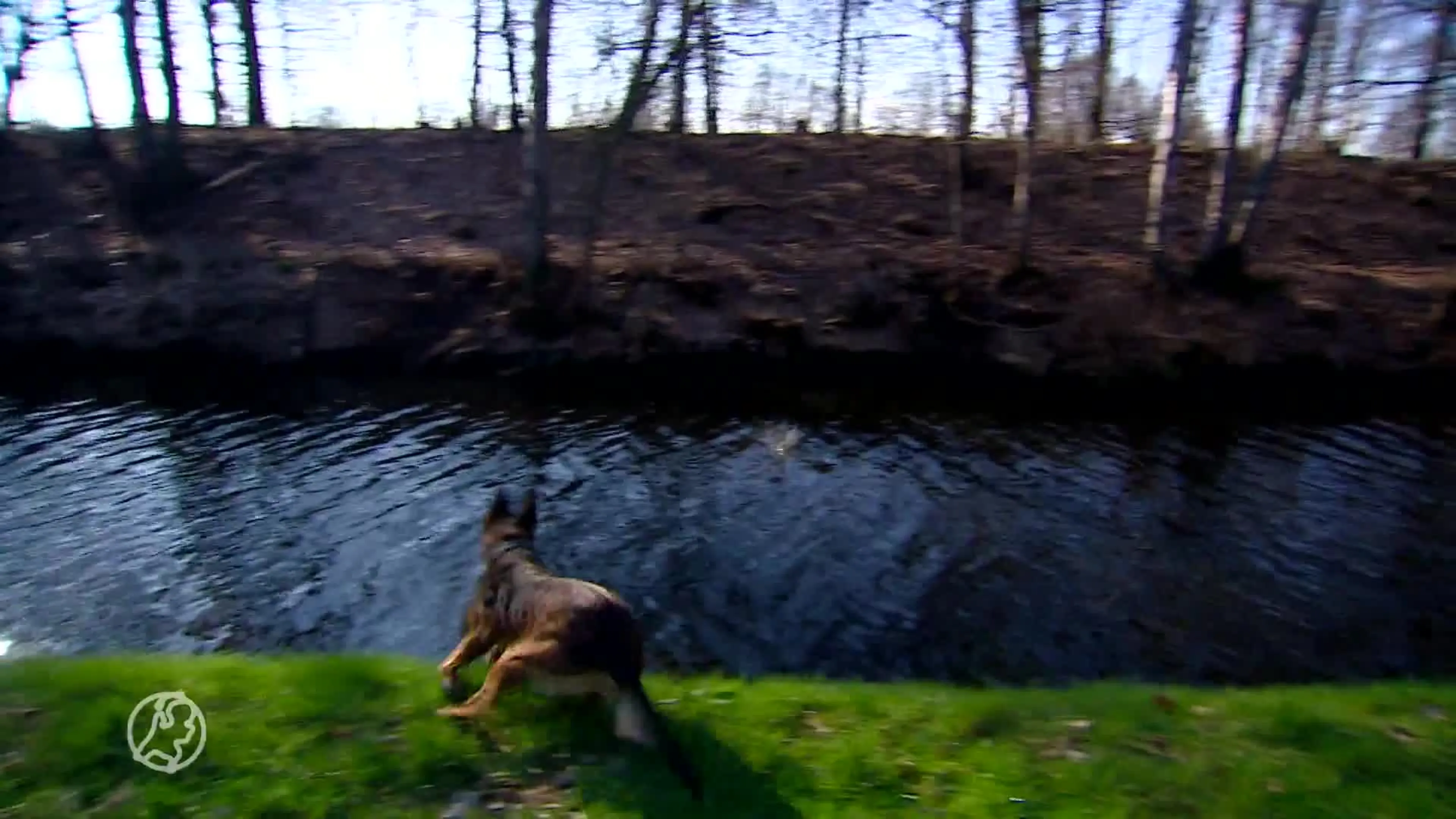 Vader Ichelle zamelt geld in voor Signi die zijn dochter vond...