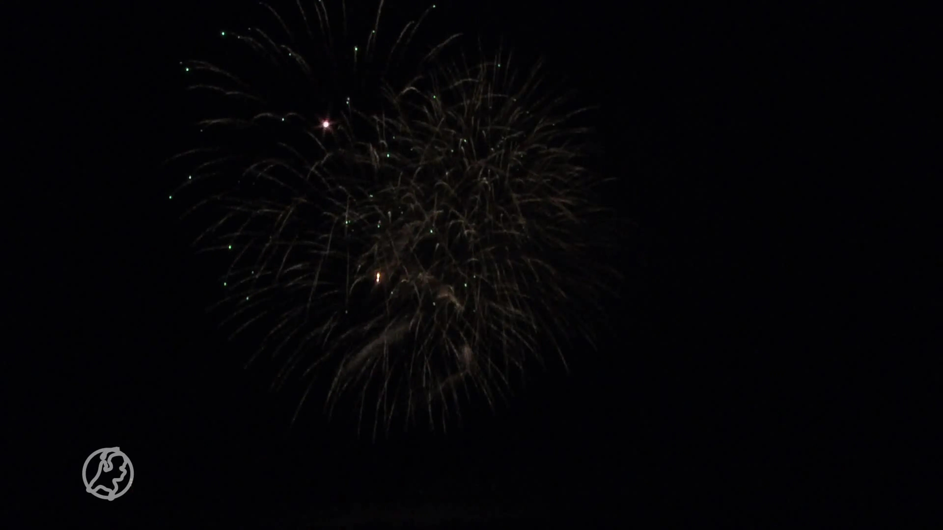 Marjoleins blindengeleidehond is bang voor vuurwerk: 'Als hij verstijft, kan ik geen kant op'
