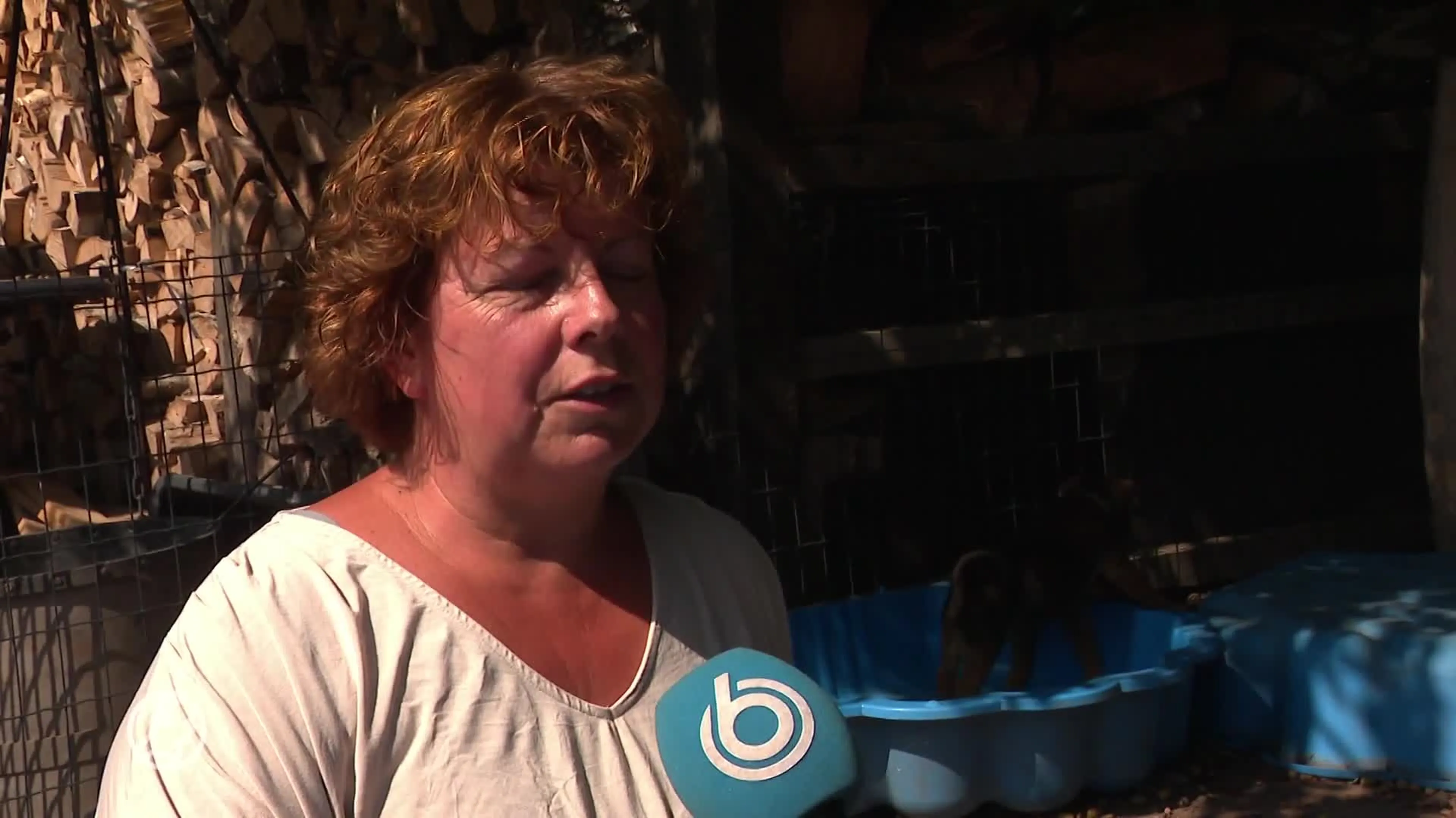 Dierenartsen: nog steeds veel 'snurkende en benauwde puppy’s' op behandeltafel