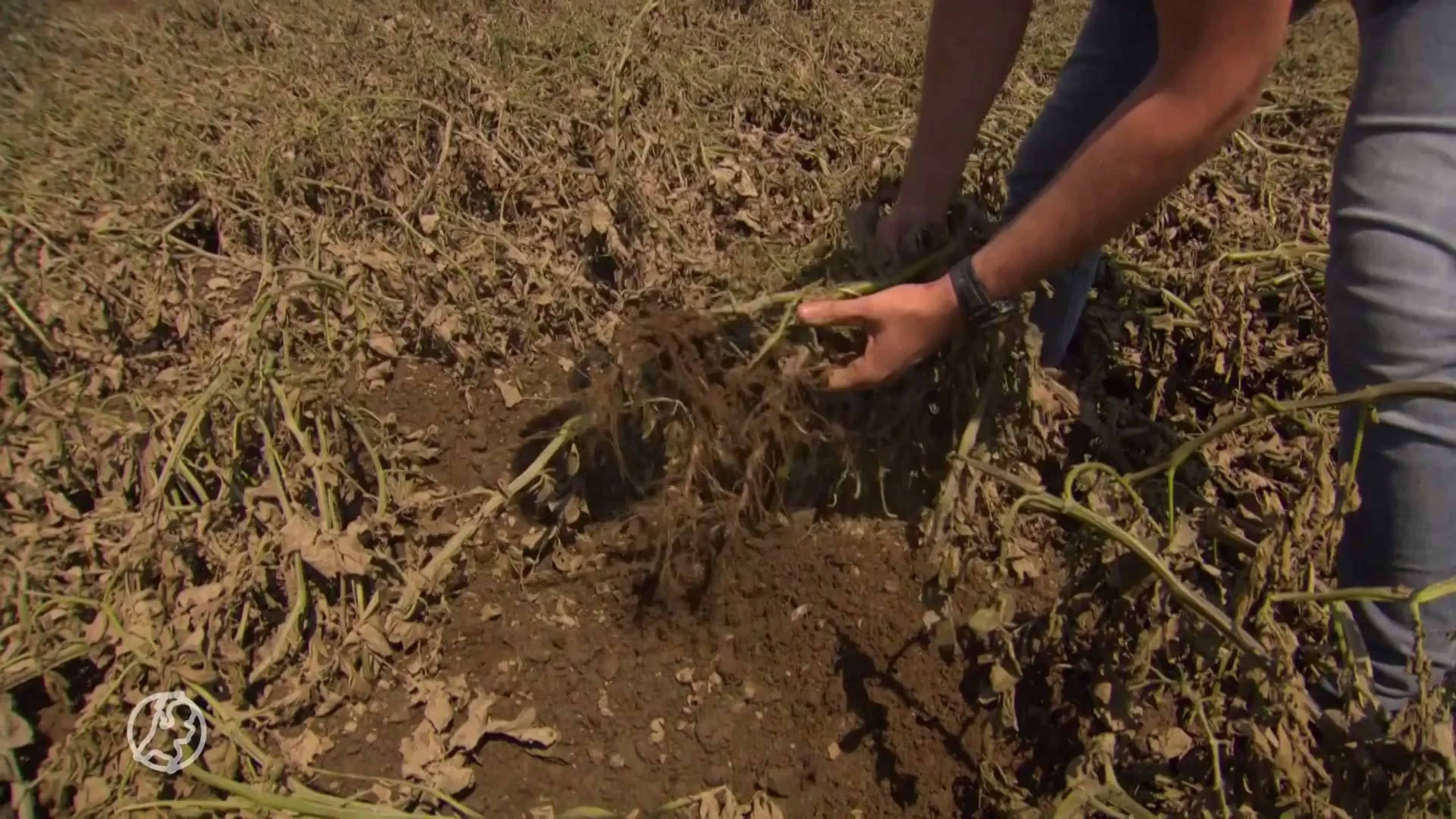 Provincie: roep ook Brabant uit tot rampgebied na watersnood