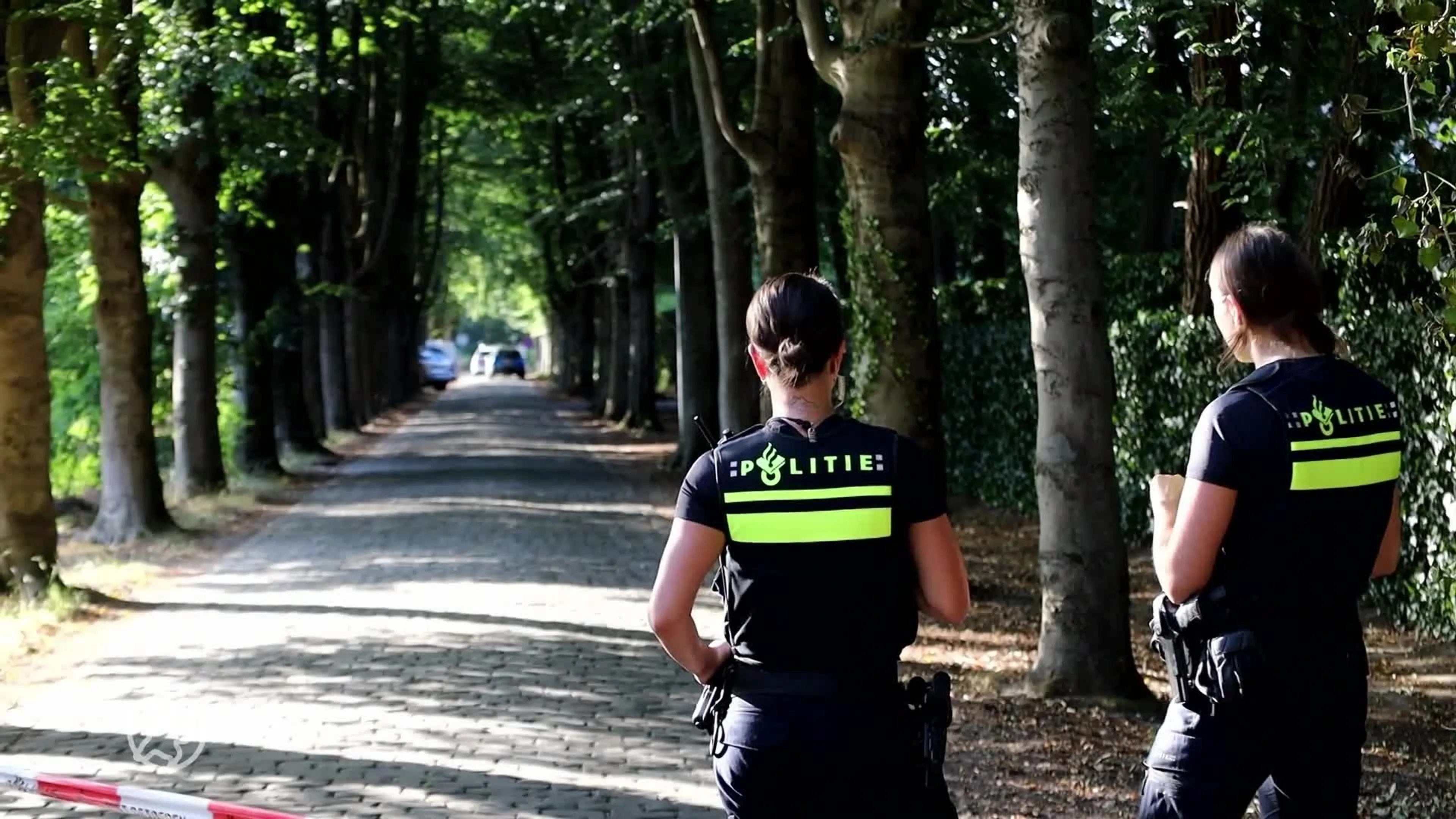 Rechtbank buigt zich over zaken Nikkie de Jager en René van der Gijp