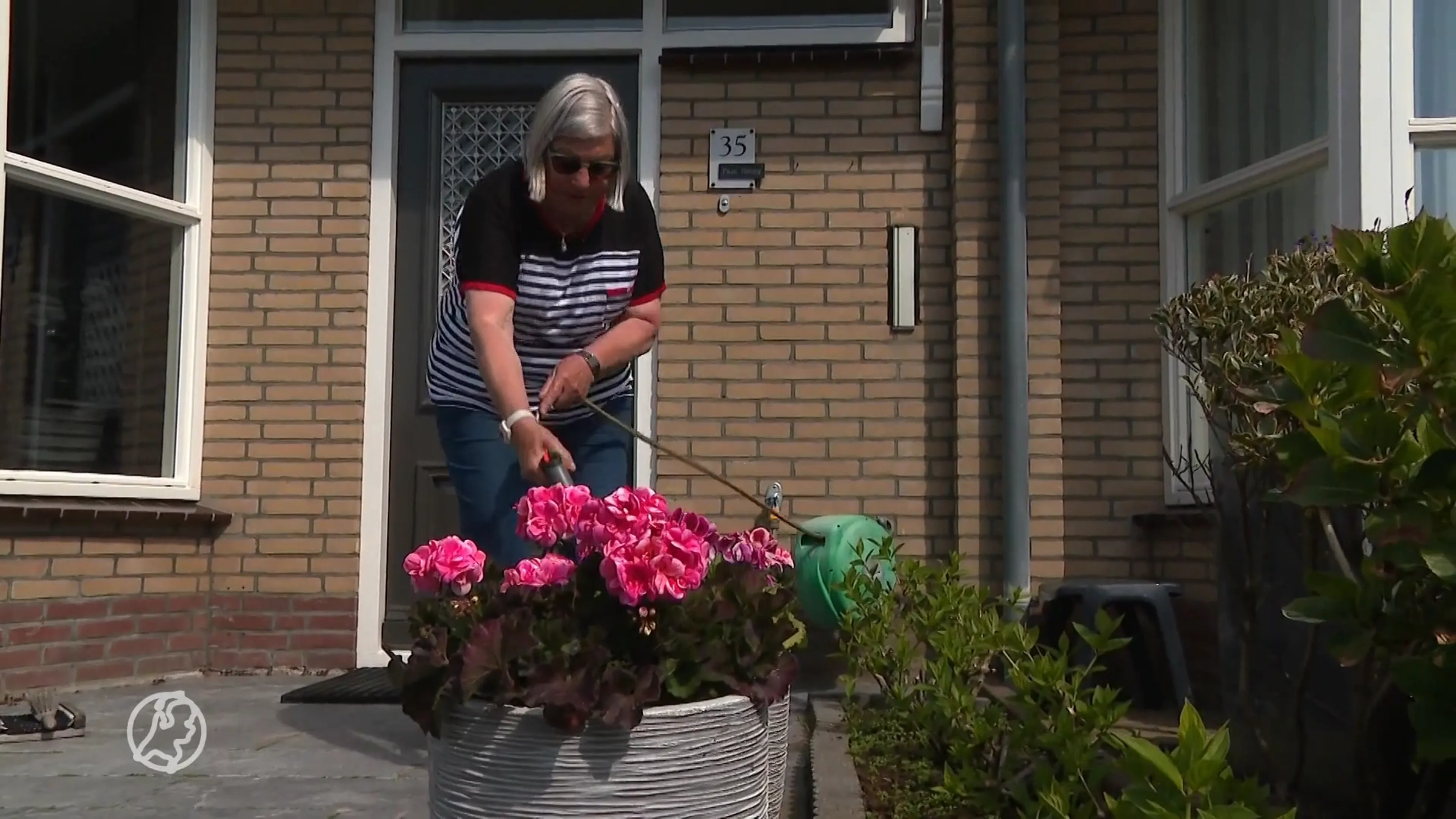 Egmonders kunnen maar beter de bloemetjes niet meer buitenzetten...