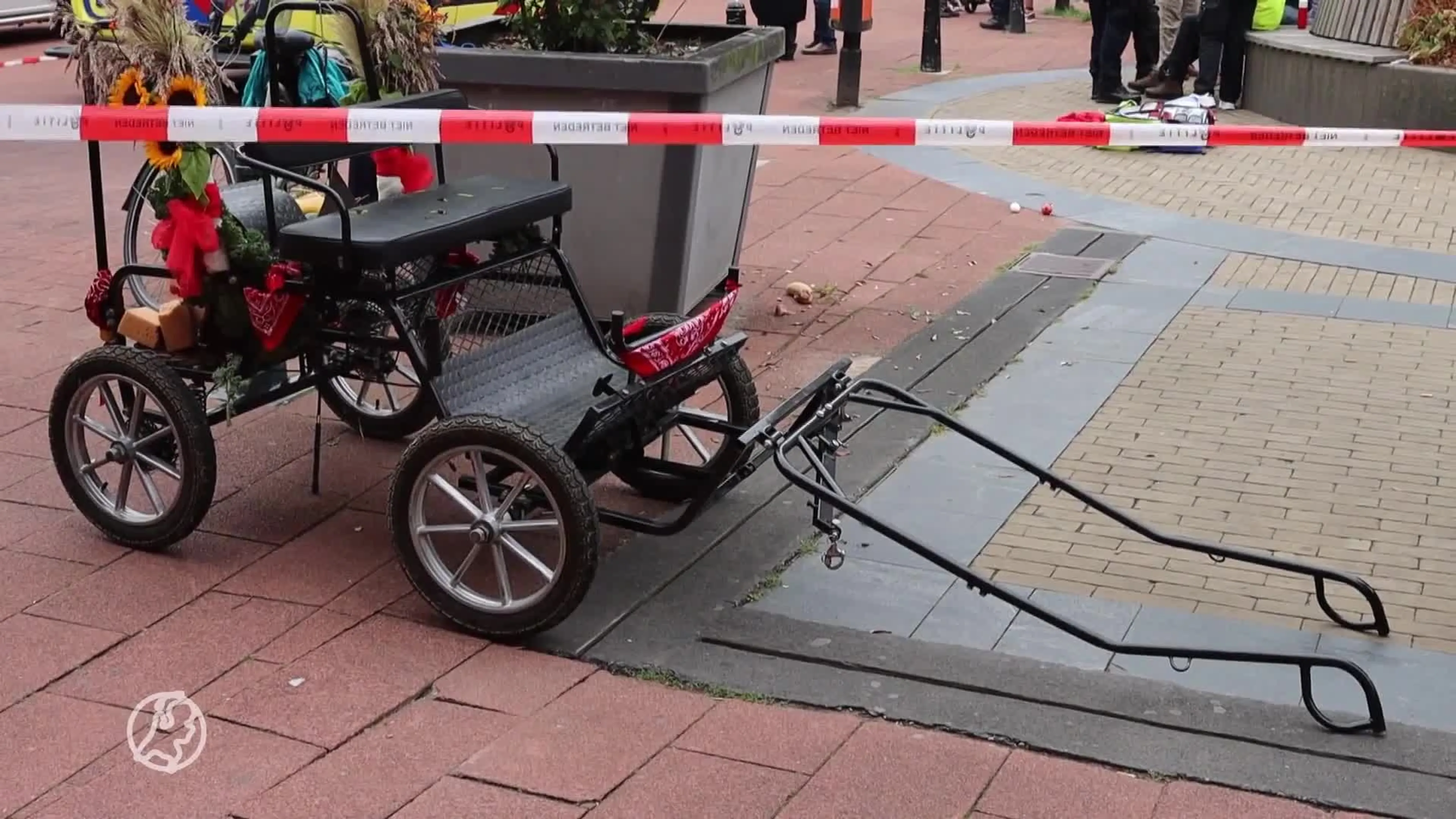Paardje ontsnapt