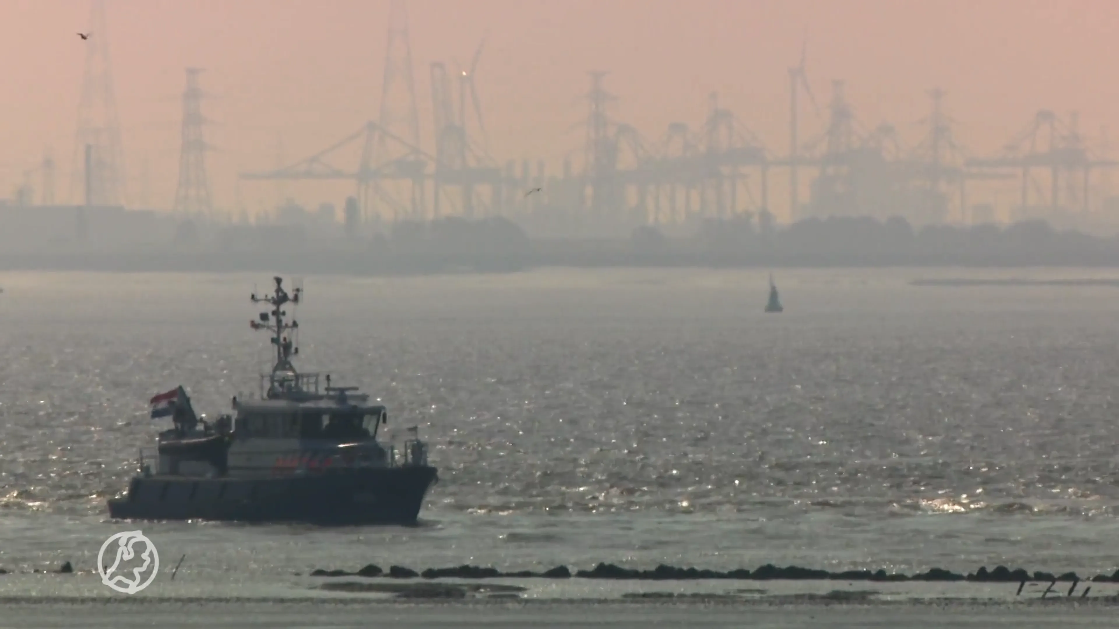 Een visje eten uit de Westerschelde? Doe maar even niet...