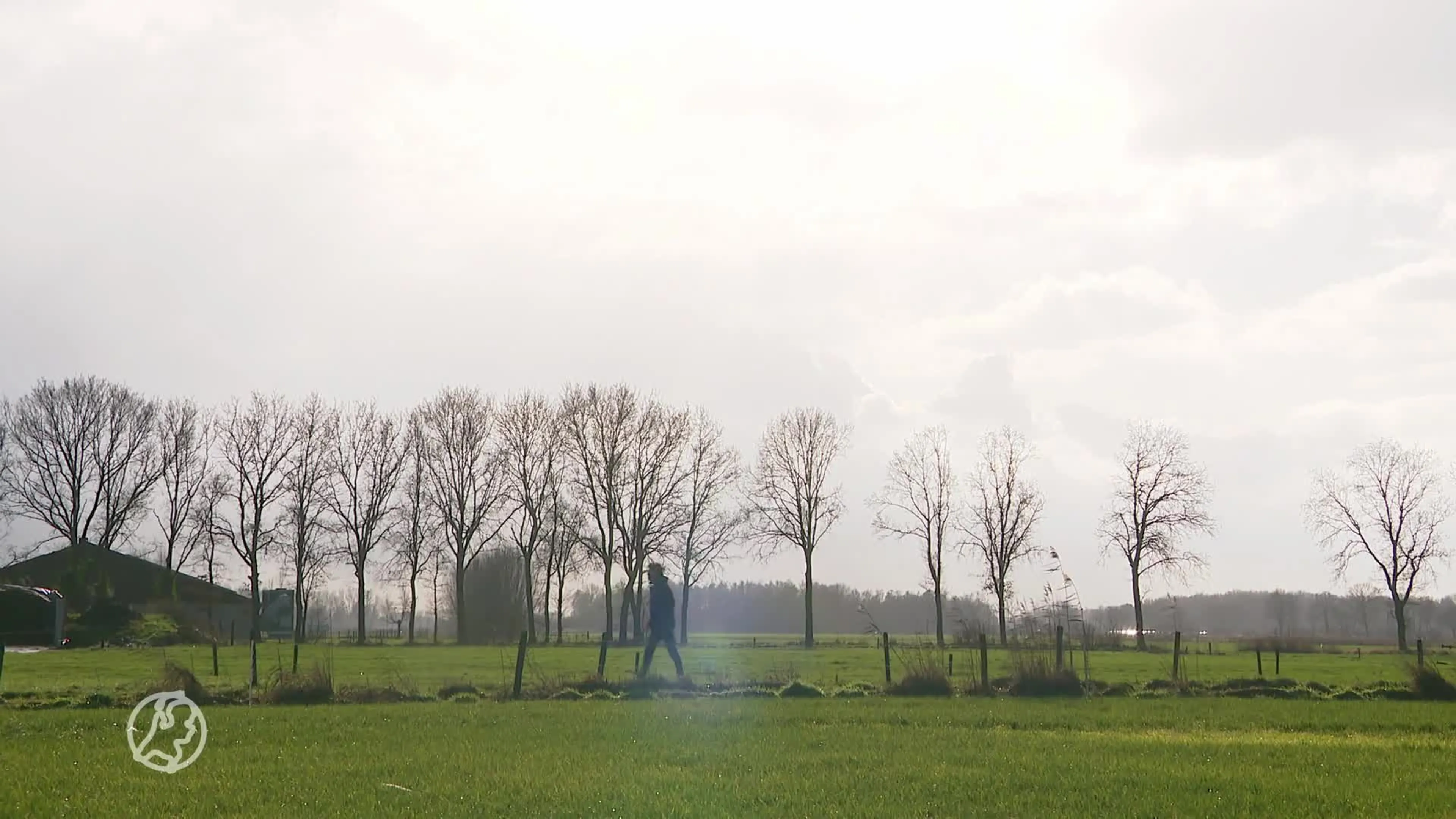 Wolf houdt gemoederen in Someren bezig: 'Ik zag twee ogen in het gras'