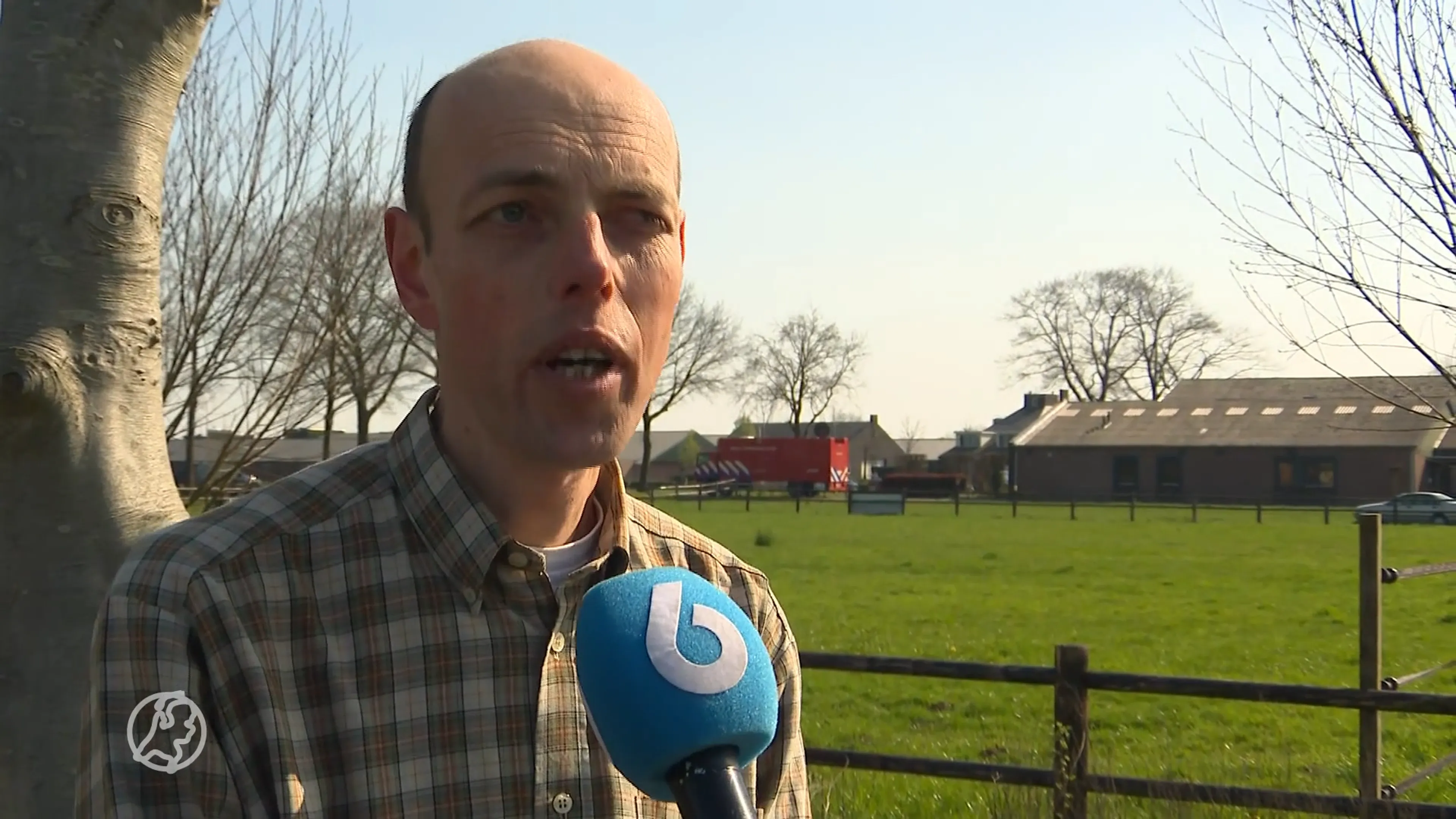Duizenden varkens dood bij brand