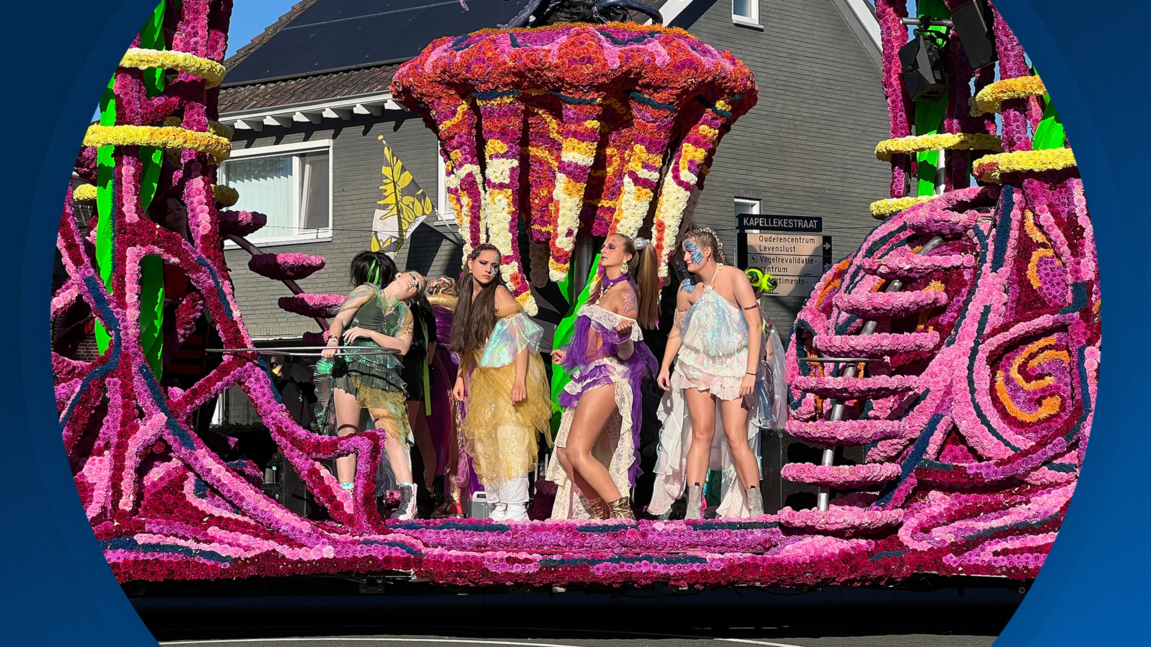 Seizoen 2026, aflevering 249