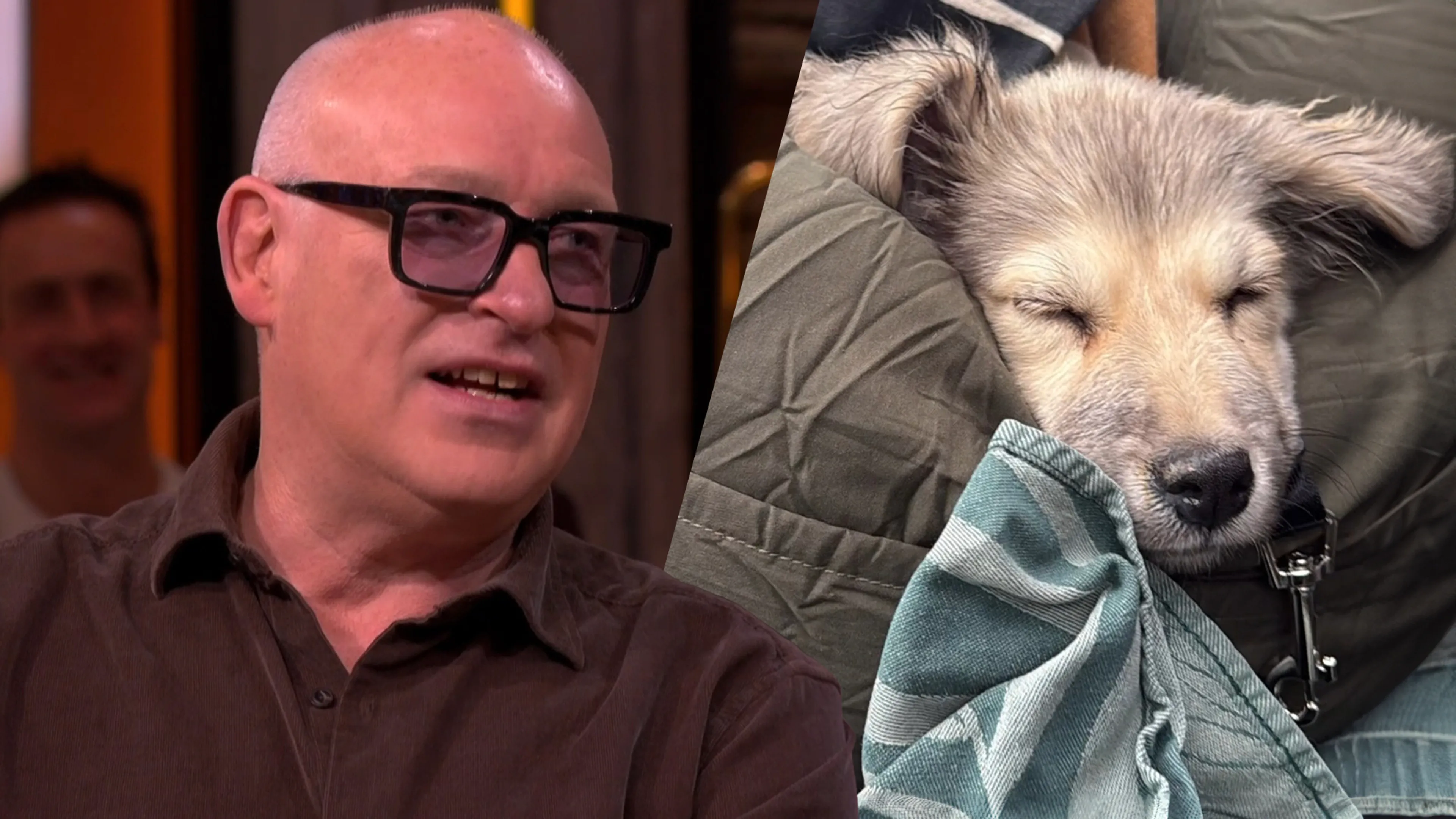 René van der Gijp heeft nieuwe hond geadopteerd: ‘Hij werd in plastic zak langs de weg gevonden’