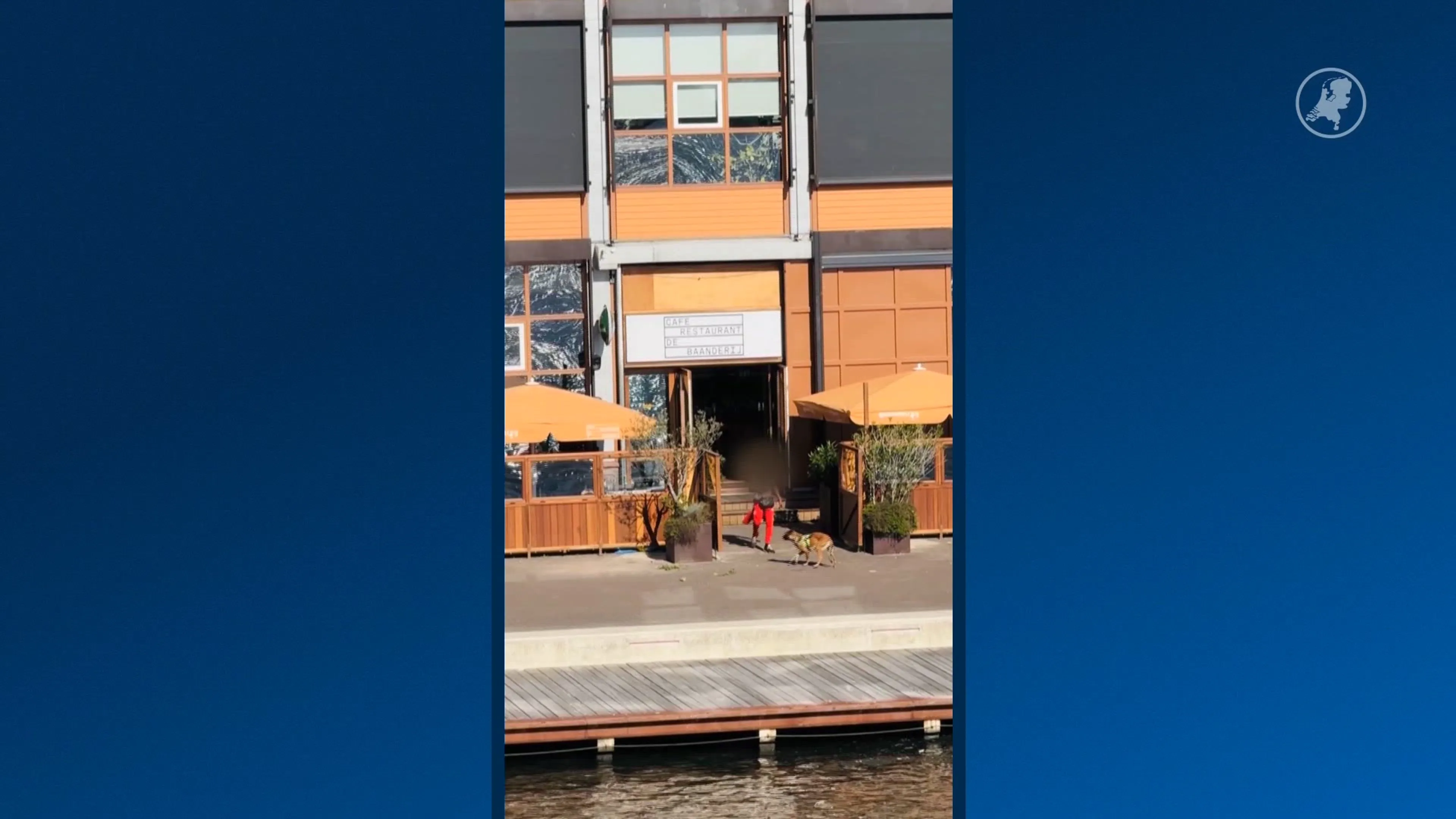 Beelden tonen verdachte na dodelijke schietpartij Amsterdam