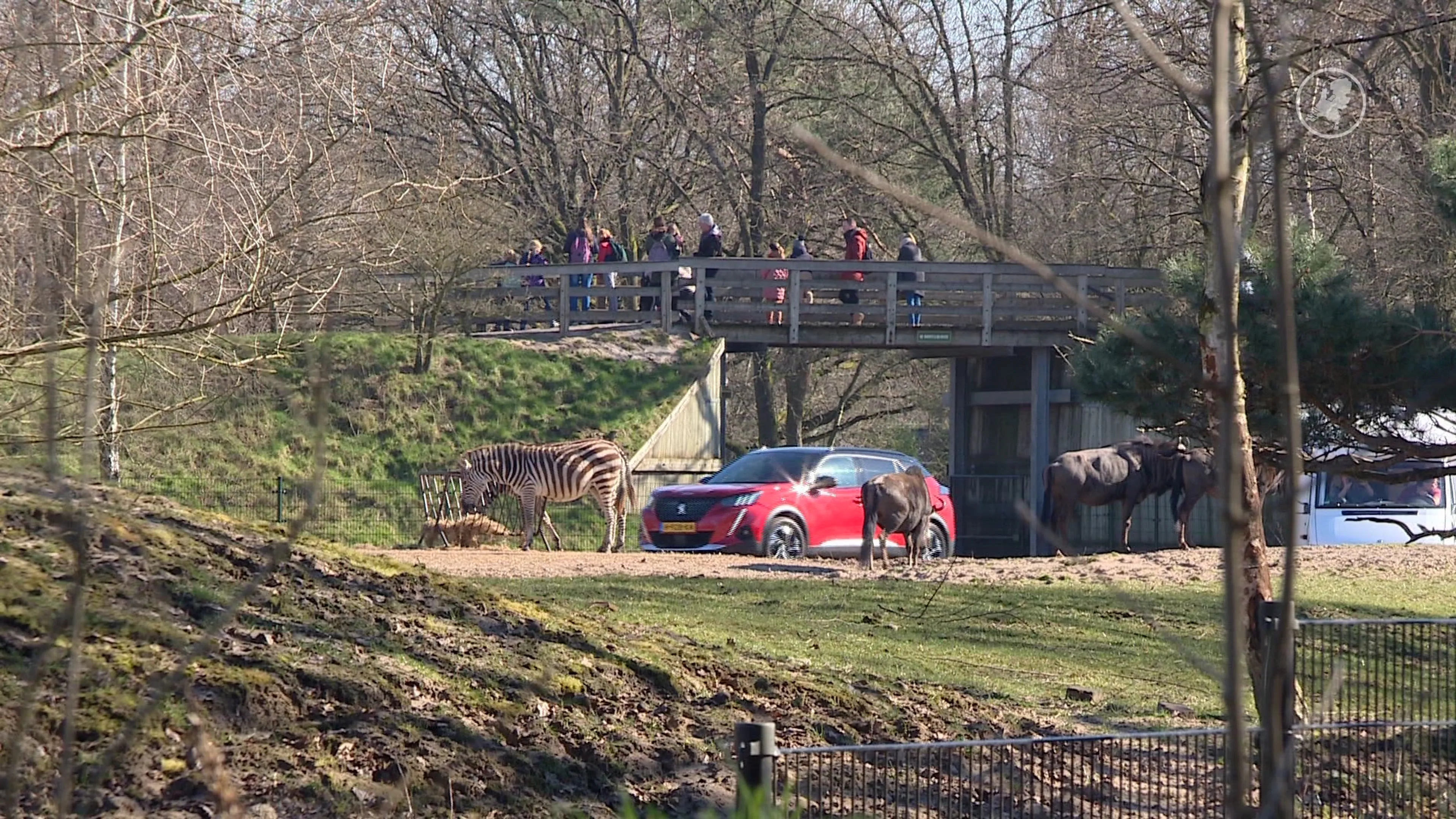 Grote steun voor strengere regels dierentuinen