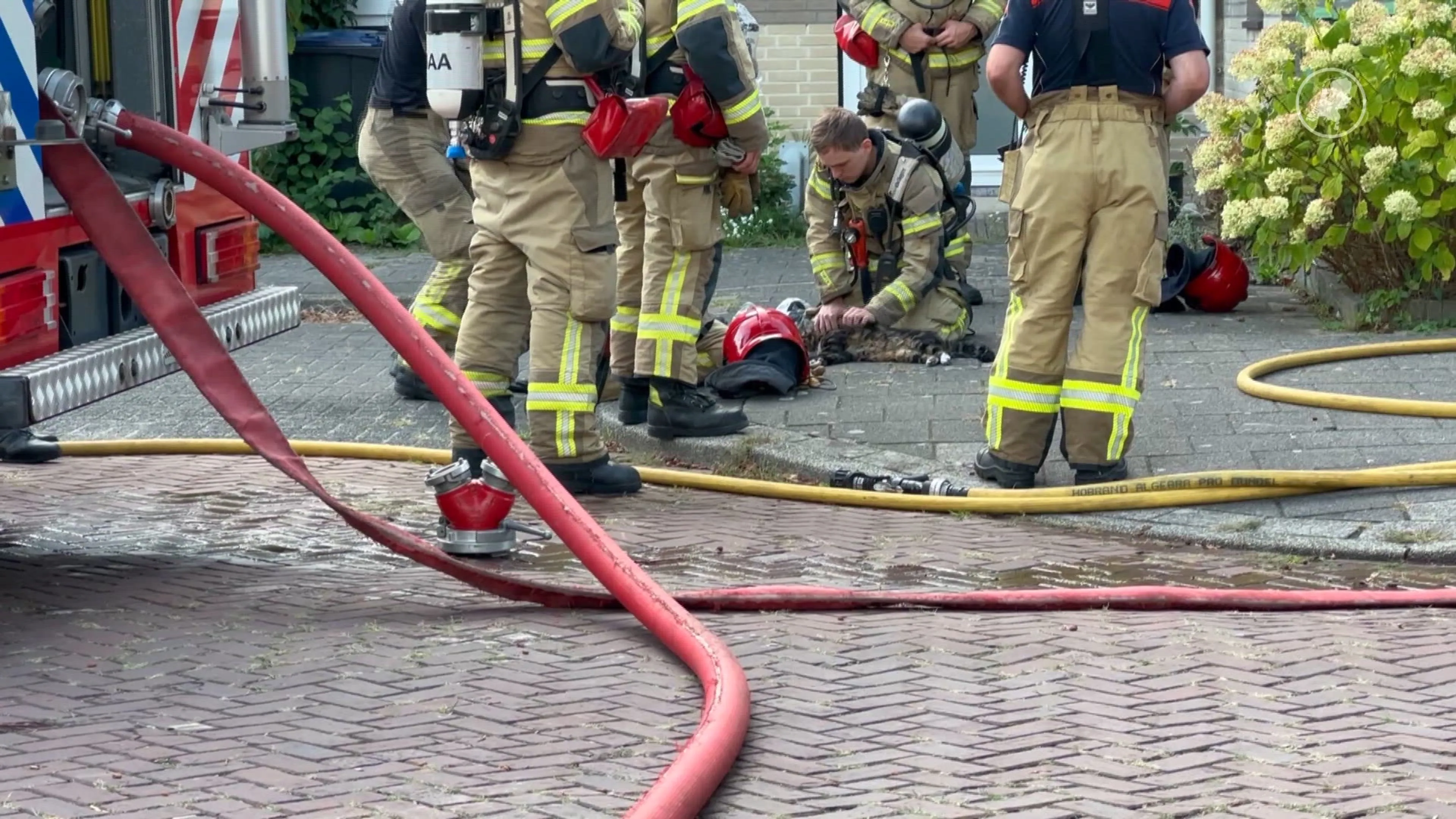 Brandweer redt bewusteloze kat uit brandende woning in Amstelveen