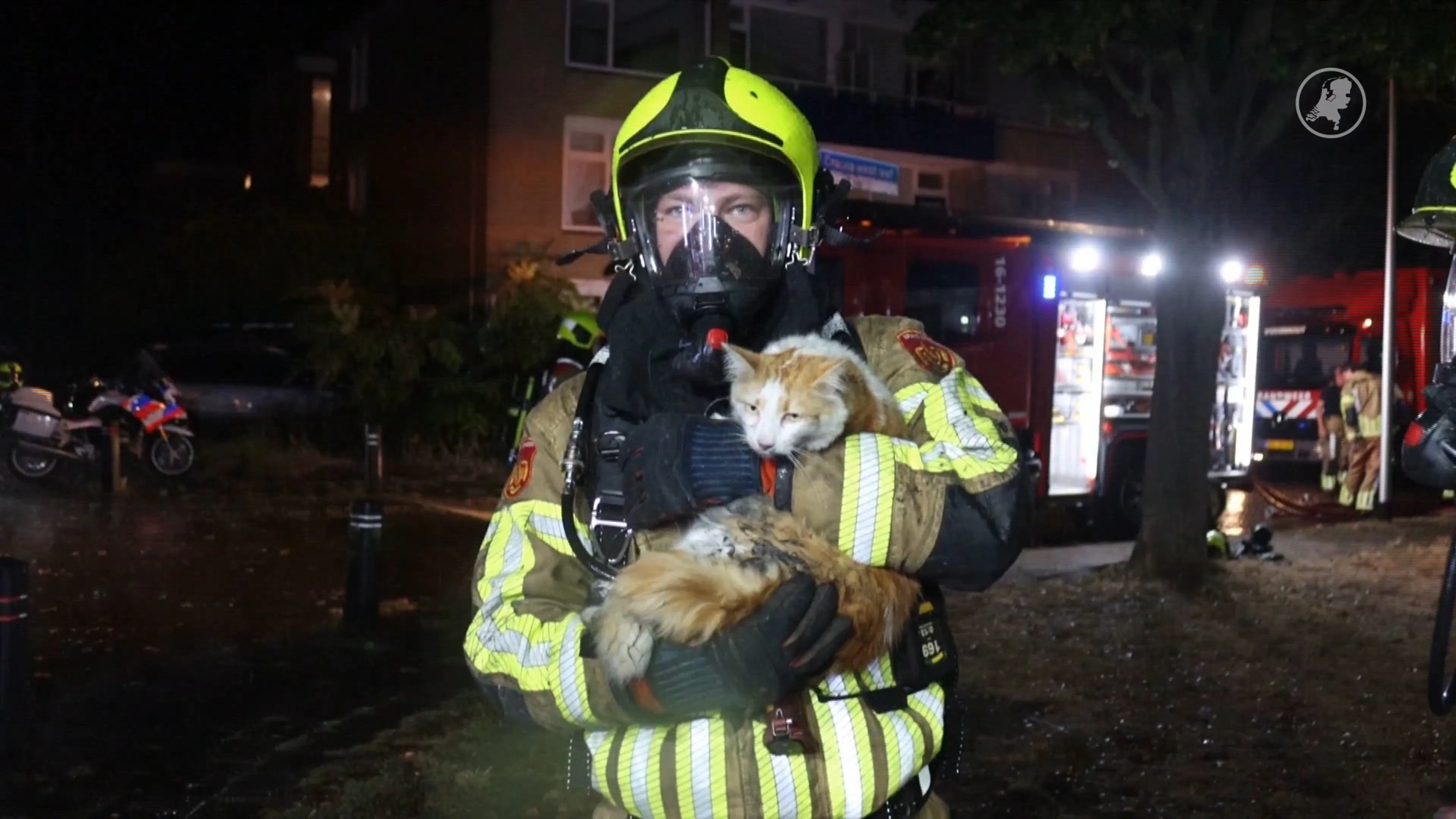 Brandweer redt twee katten bij woningbrand in Sassenheim
