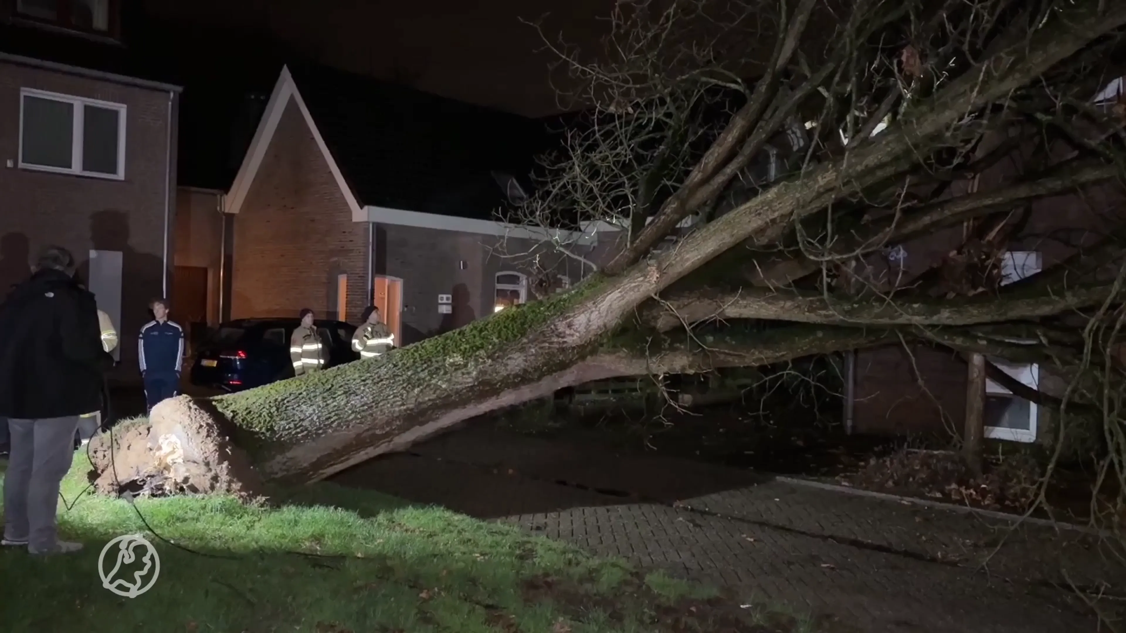 Eerste schade door omgevallen bomen door storm Louis