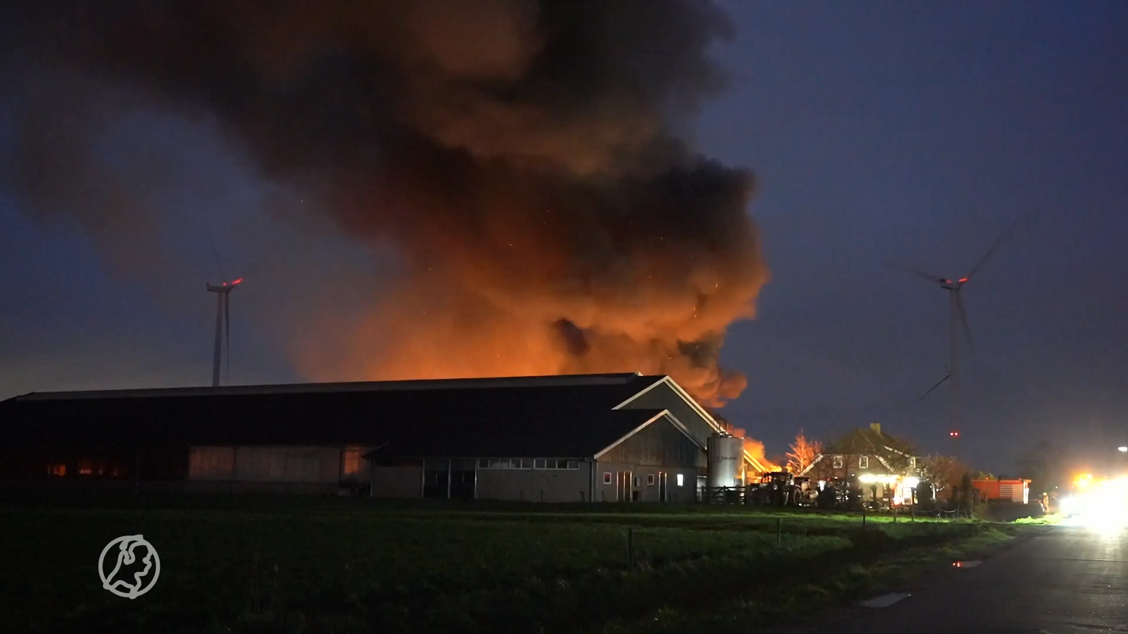 Grote brand in schuur in Terheijden, honderd koeien geëvacueerd