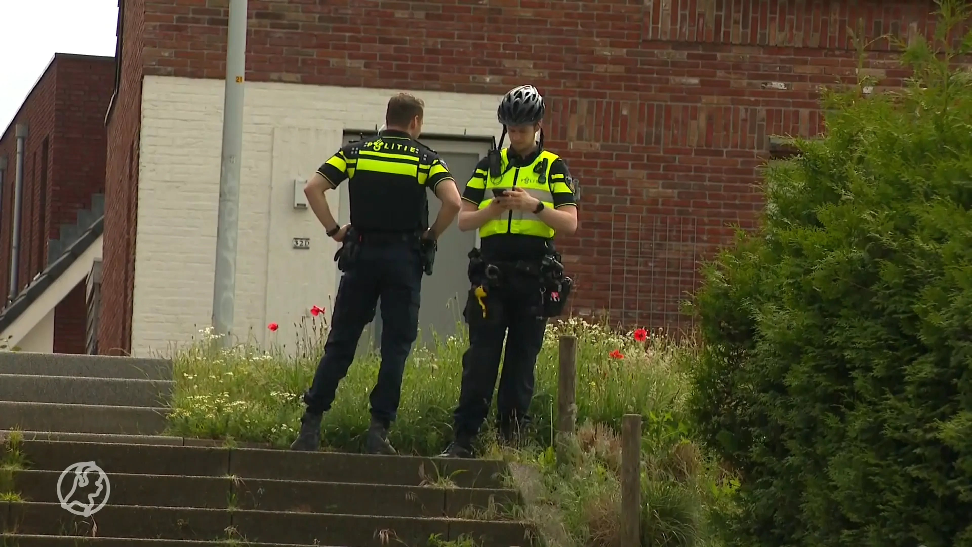Buurtbewoners geschokt na ernstig zedenmisdrijf in Zwolle