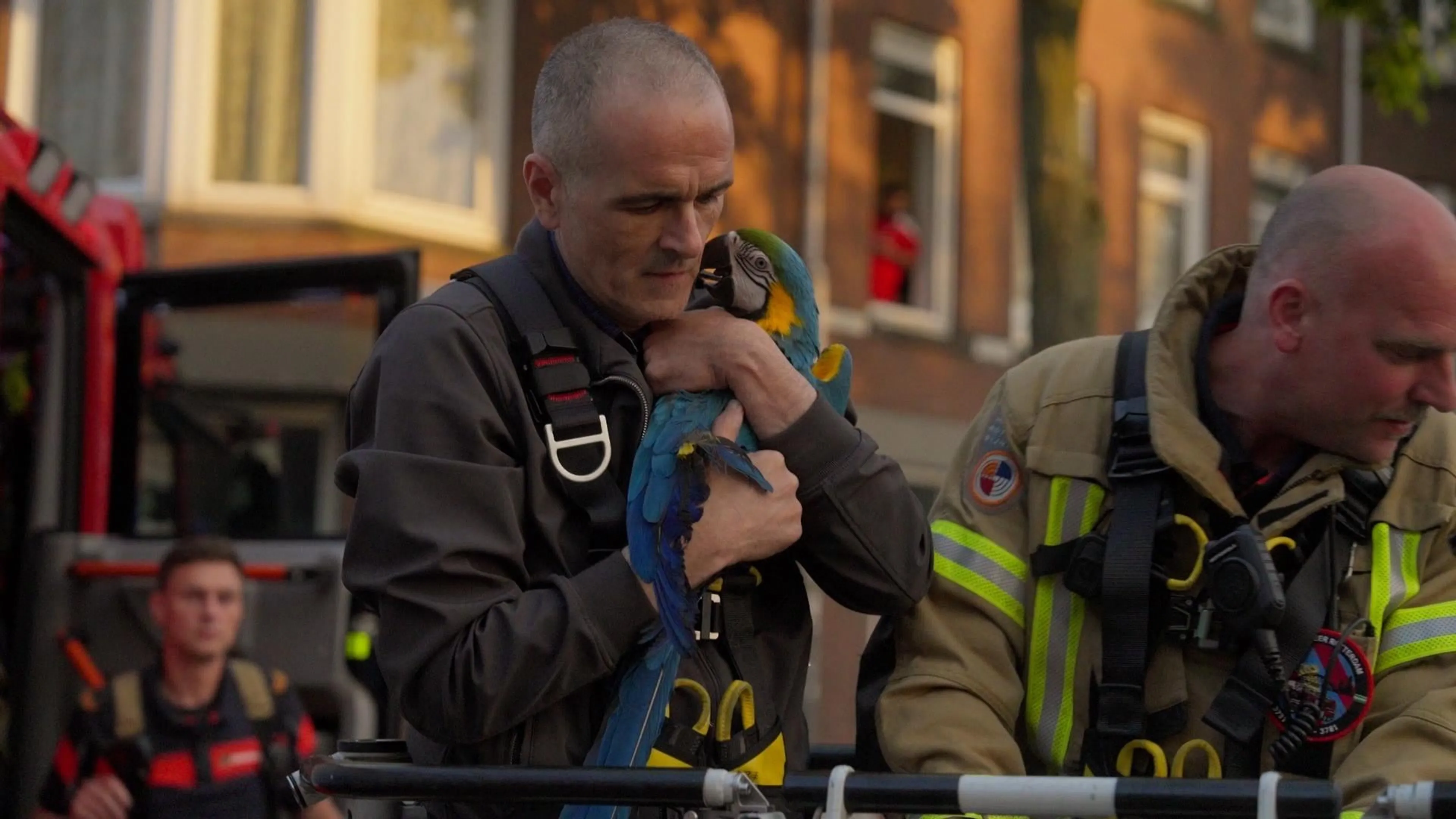Seizoen 1, aflevering 7